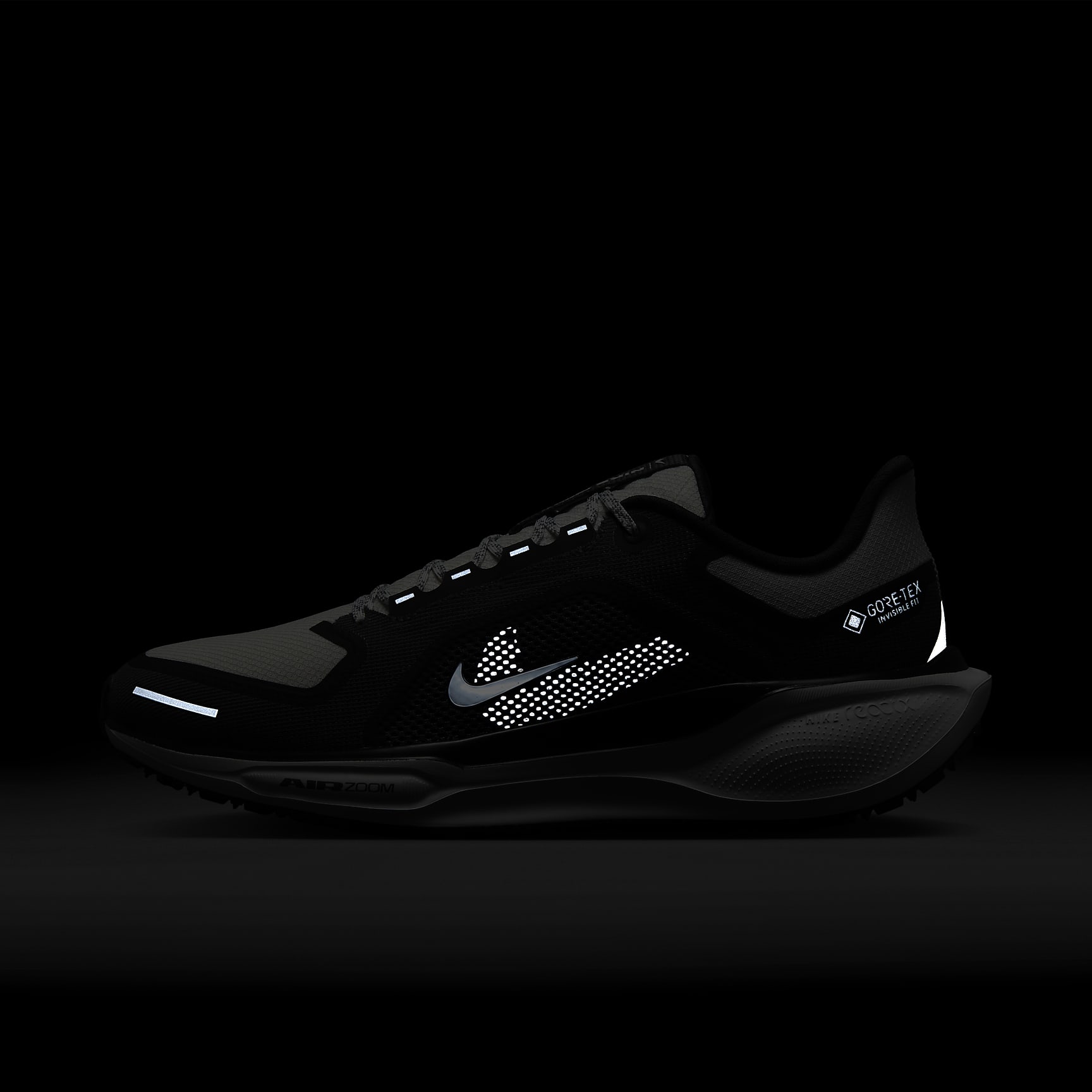 Nike Pegasus 41 GORE-TEX Men's Waterproof Road Running Shoes