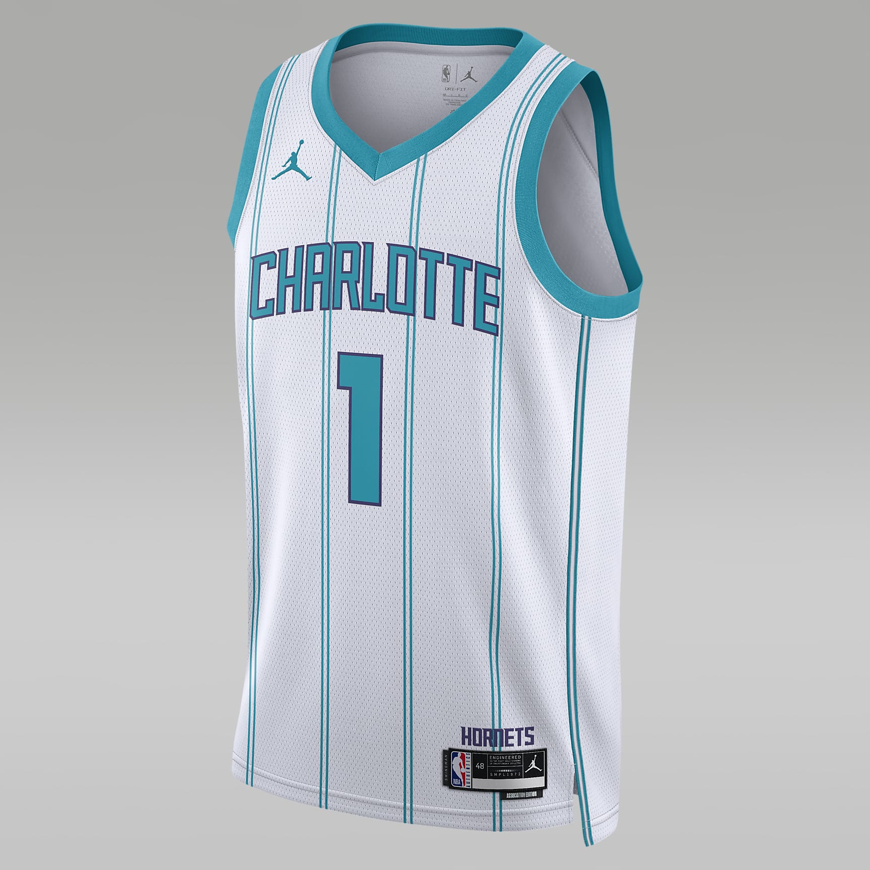Charlotte Hornets Association Edition 2022/23 Men's Jordan Dri-FIT NBA Swingman Jersey