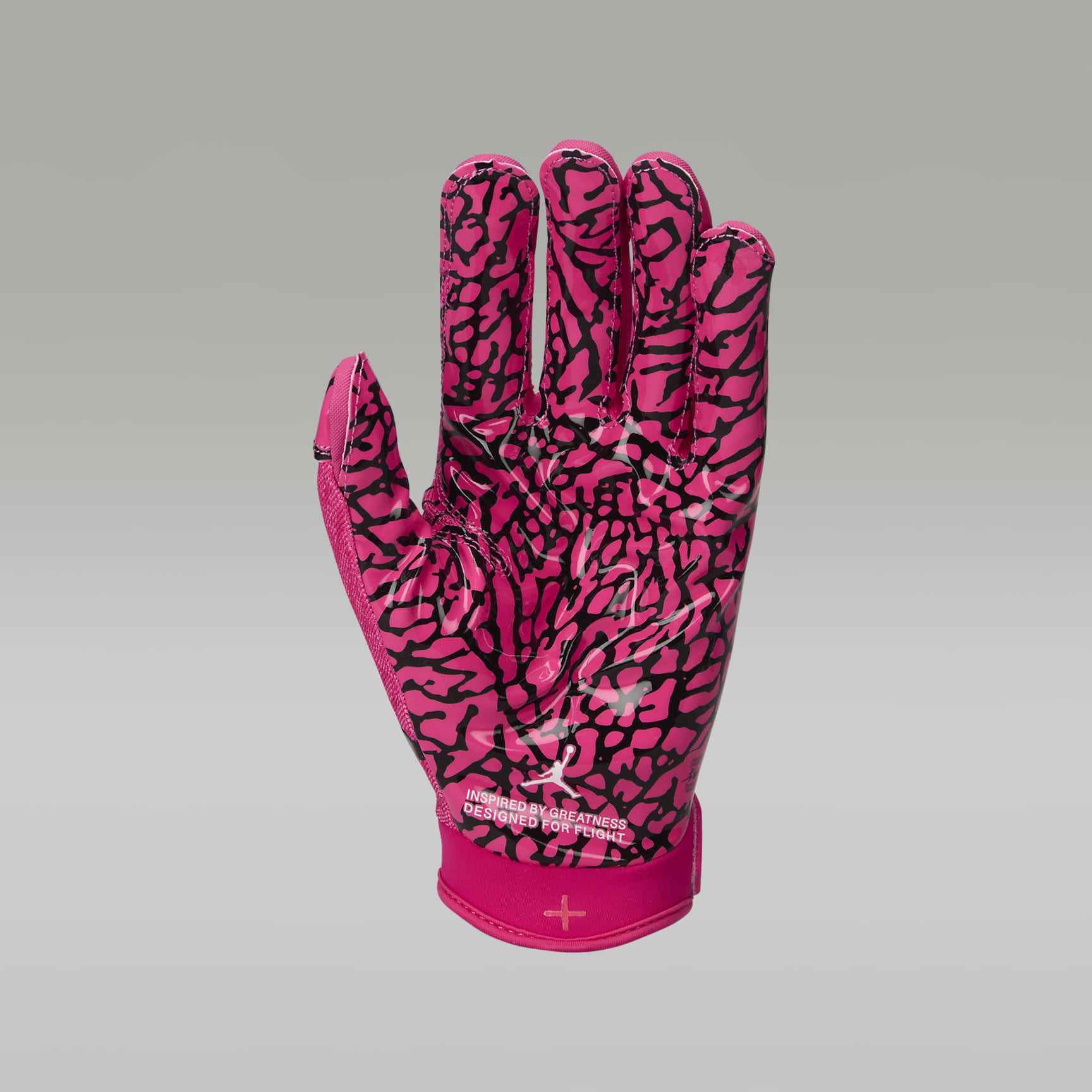 Jordan Fly Lock Football Gloves (1 Pair)