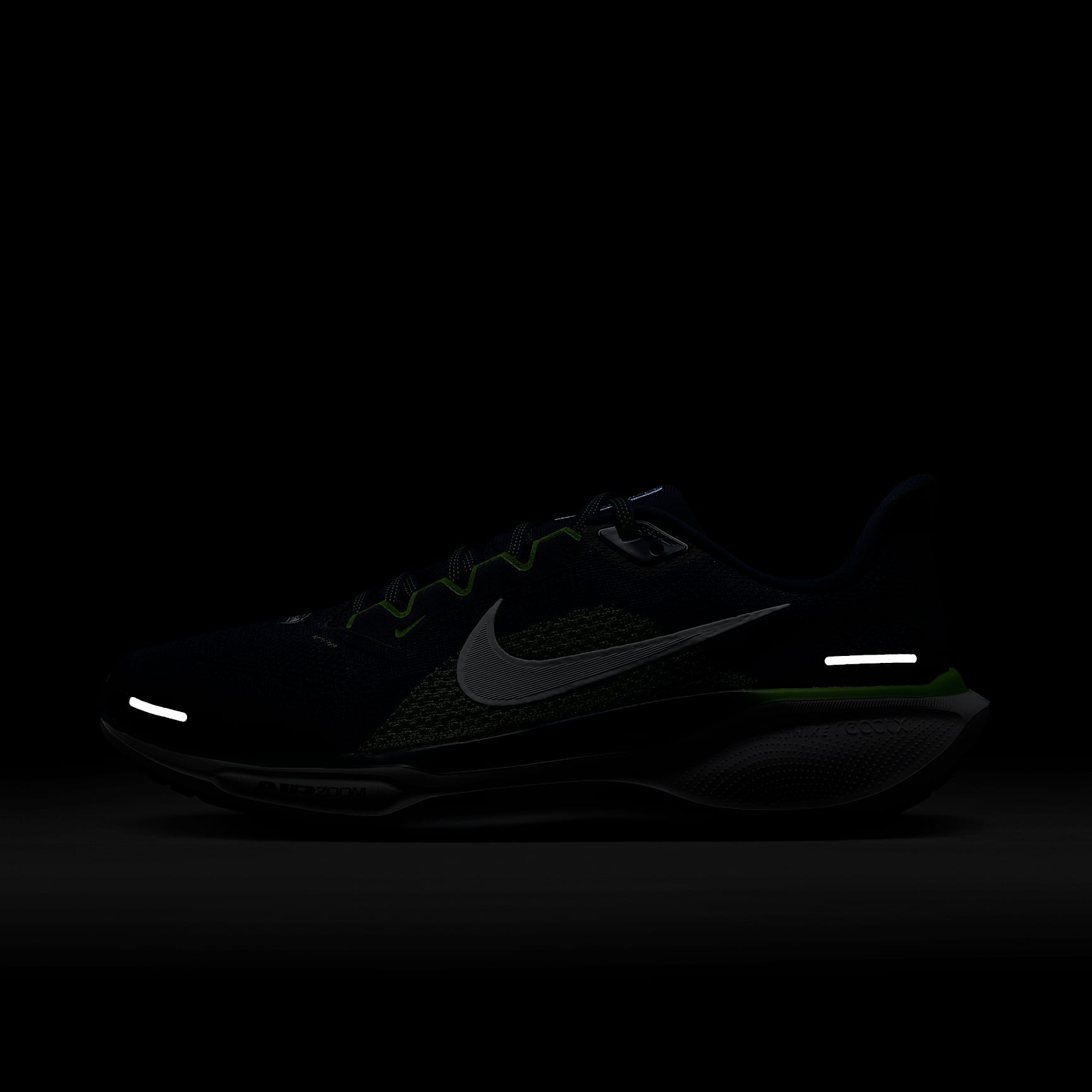 Nike Pegasus 41 NFL Seattle Seahawks Men's Road Running Shoes