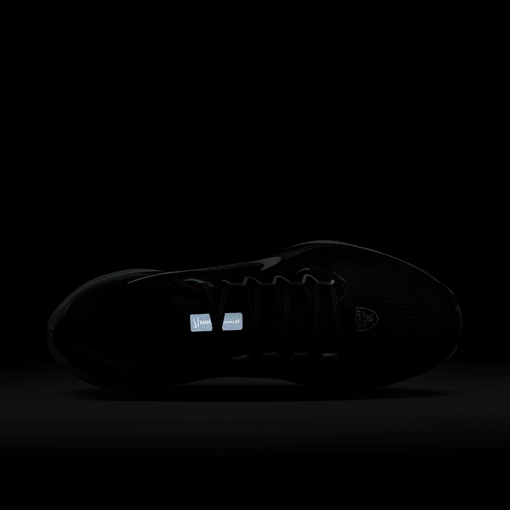 Nike Pegasus 41 NFL Las Vegas Raiders Men's Road Running Shoes