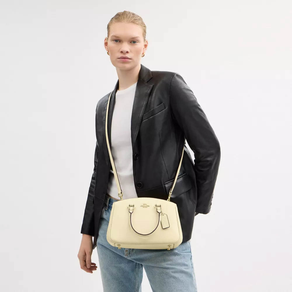 Сумка COACH Savannah Small Carryall Bag