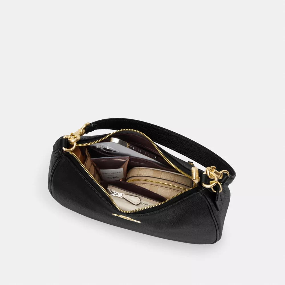 Сумка COACH Teri Hobo Bag