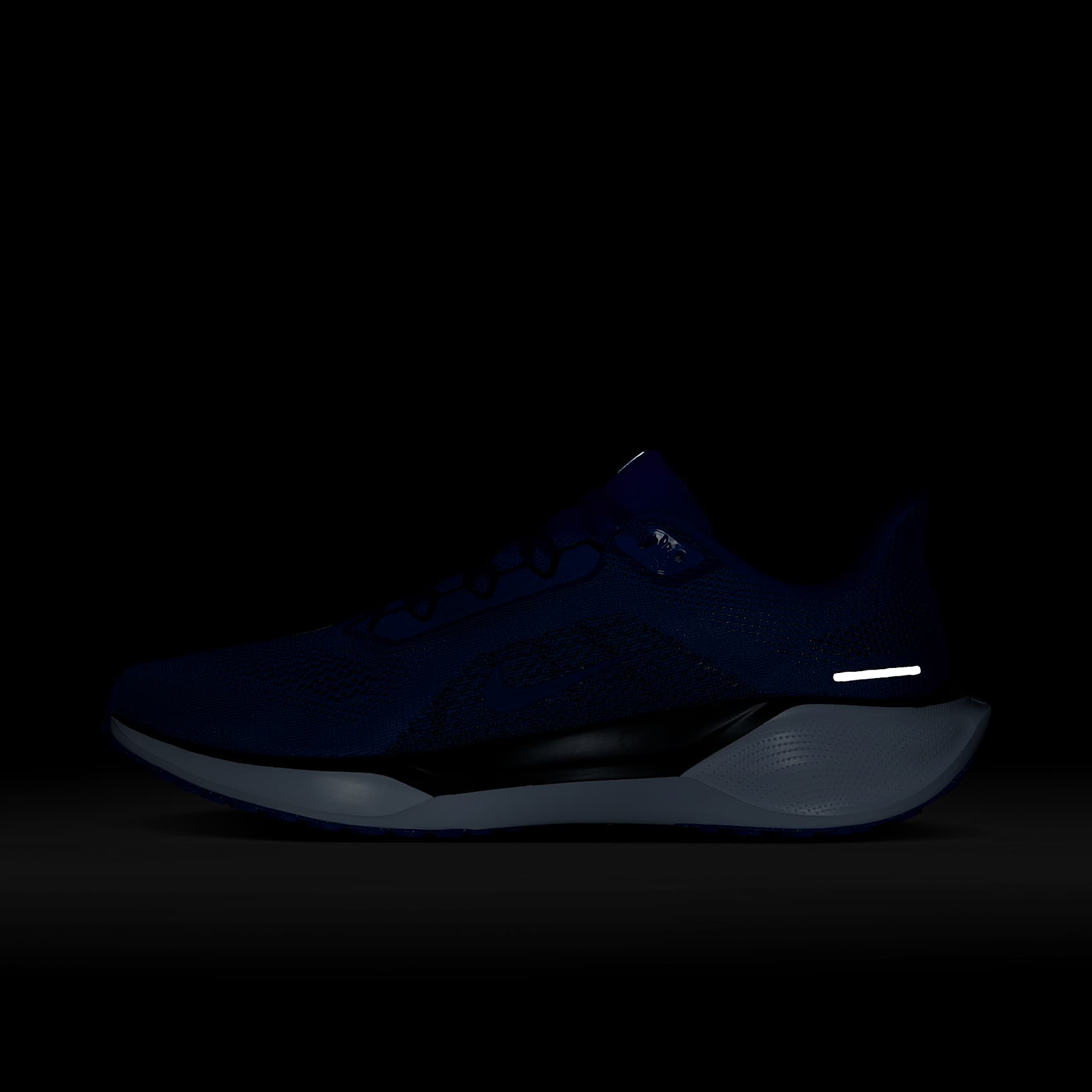 Duke Pegasus 41 Men's Nike College Road Running Shoes