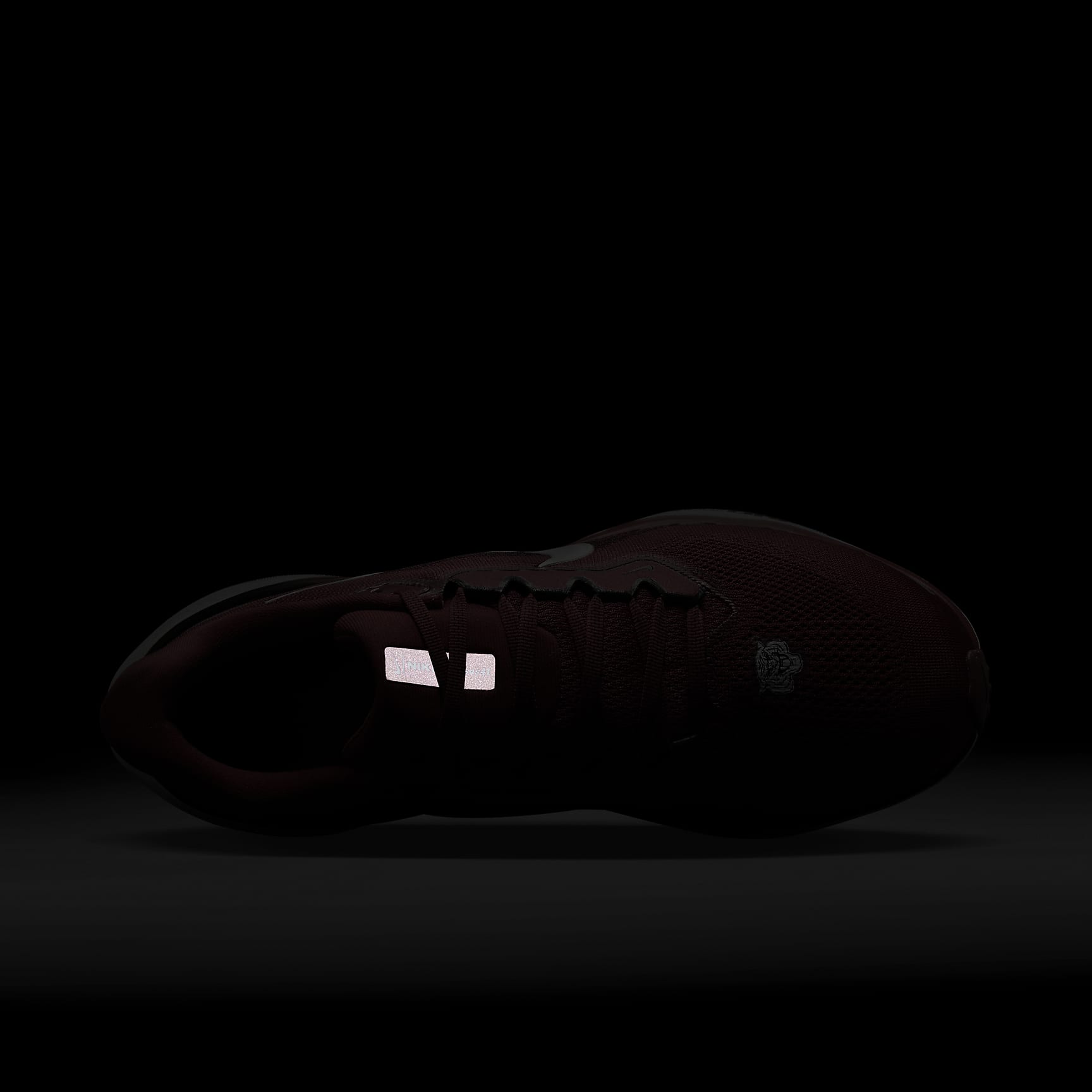 Morehouse Pegasus 41 Men's Nike College Road Running Shoes