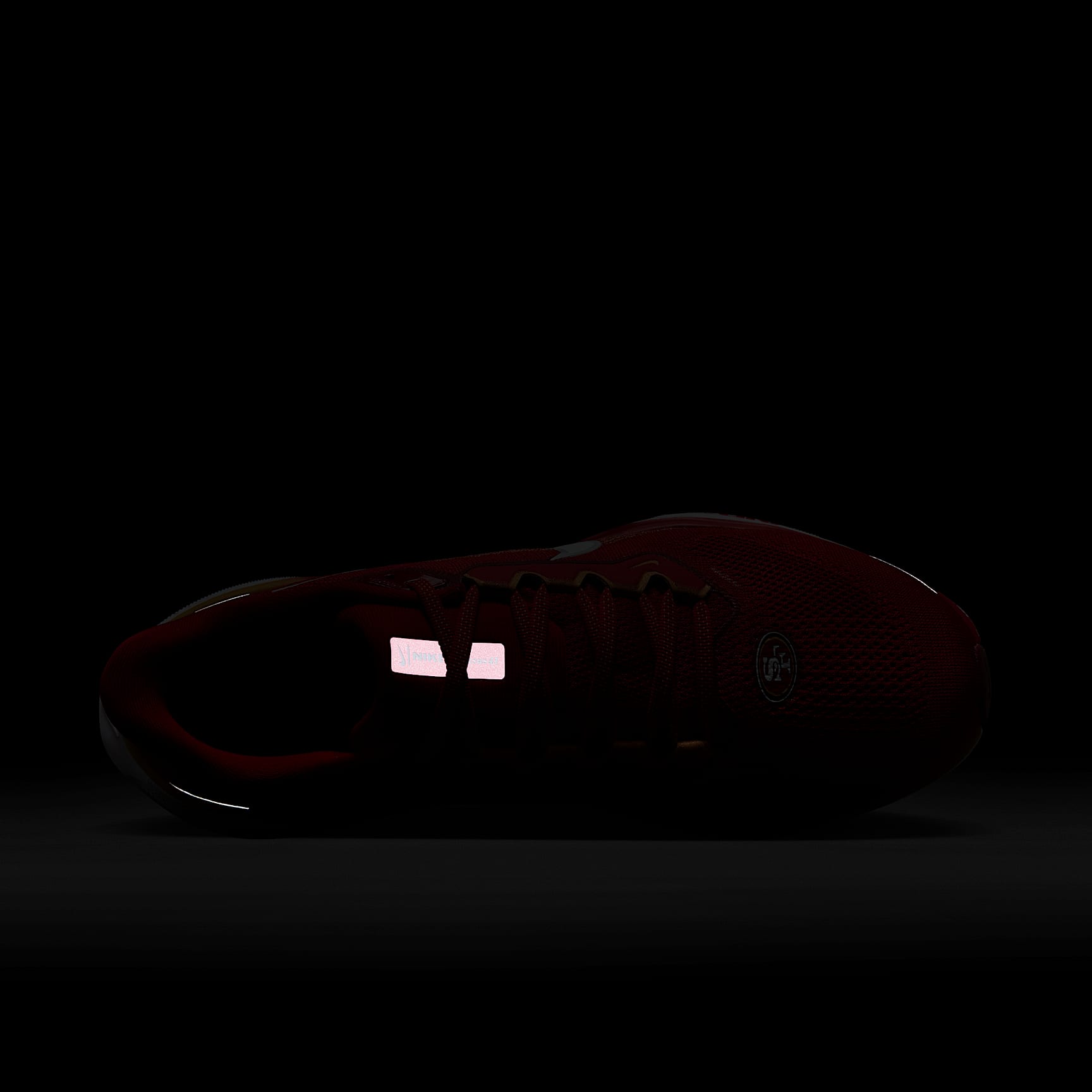 Nike Pegasus 41 NFL San Francisco 49ers Men's Road Running Shoes