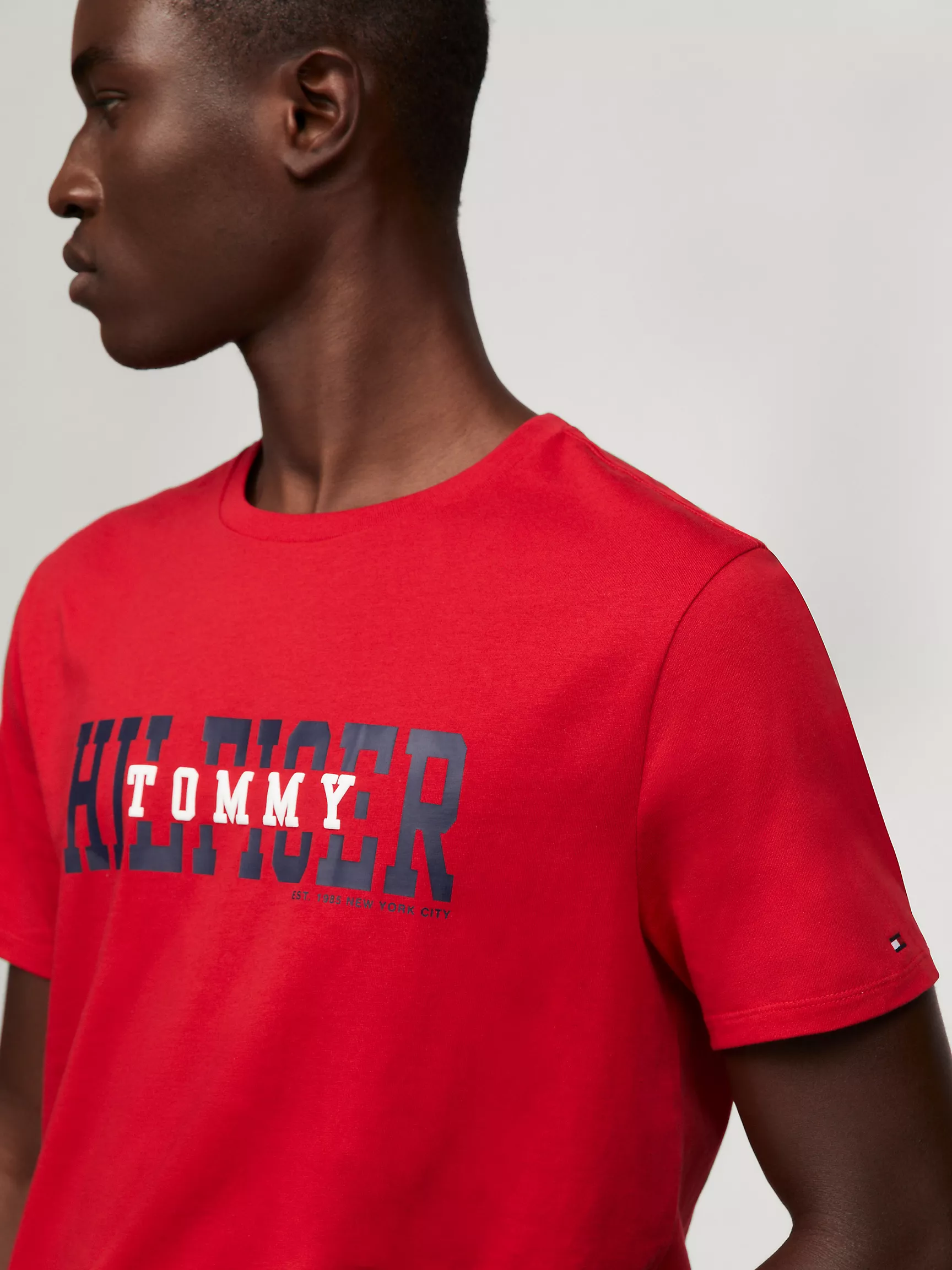 Мужская футболка Tommy Hilfiger, Футболка Tommy с университетским логотипом