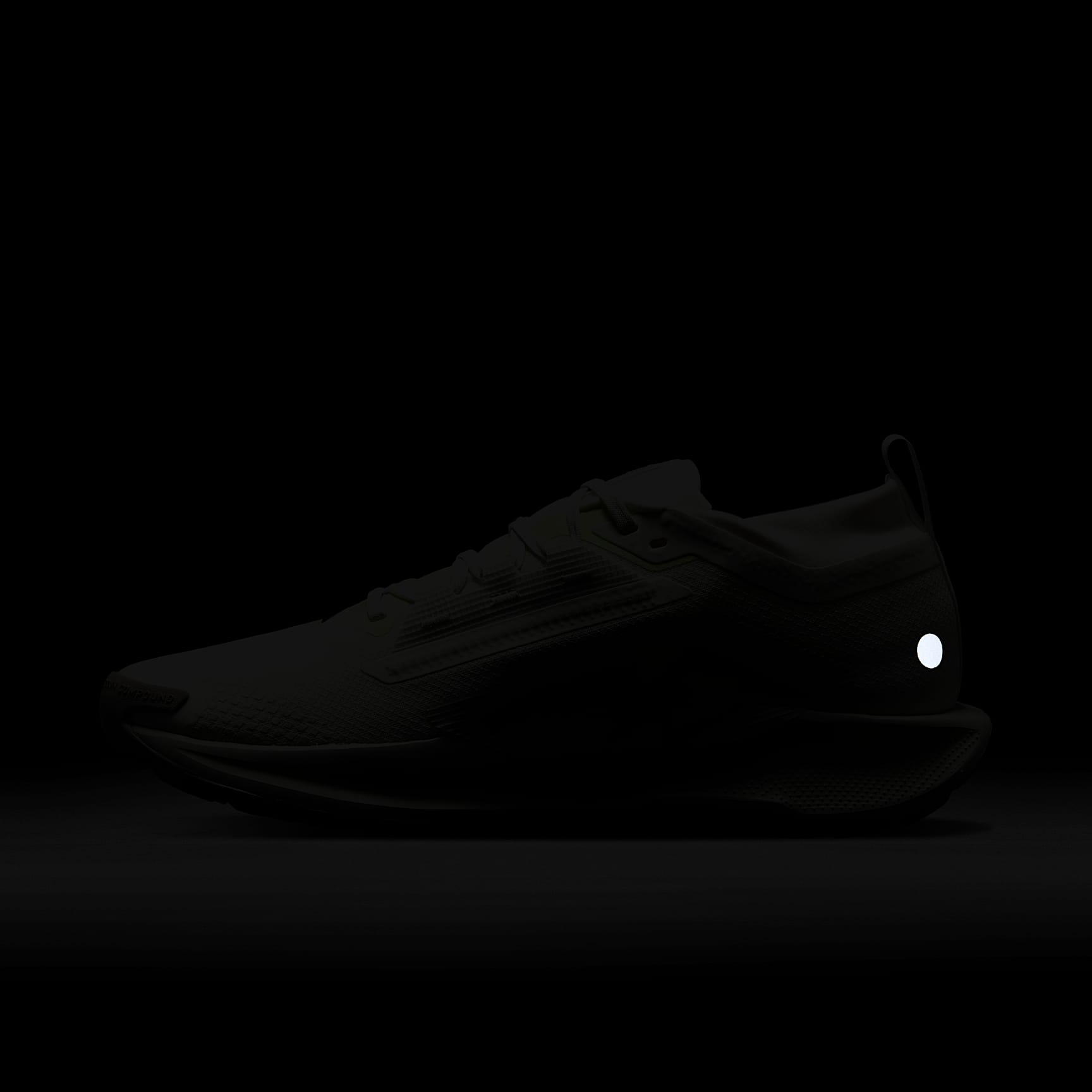 Nike Pegasus Trail 5 GORE-TEX Men's Waterproof Trail Running Shoes