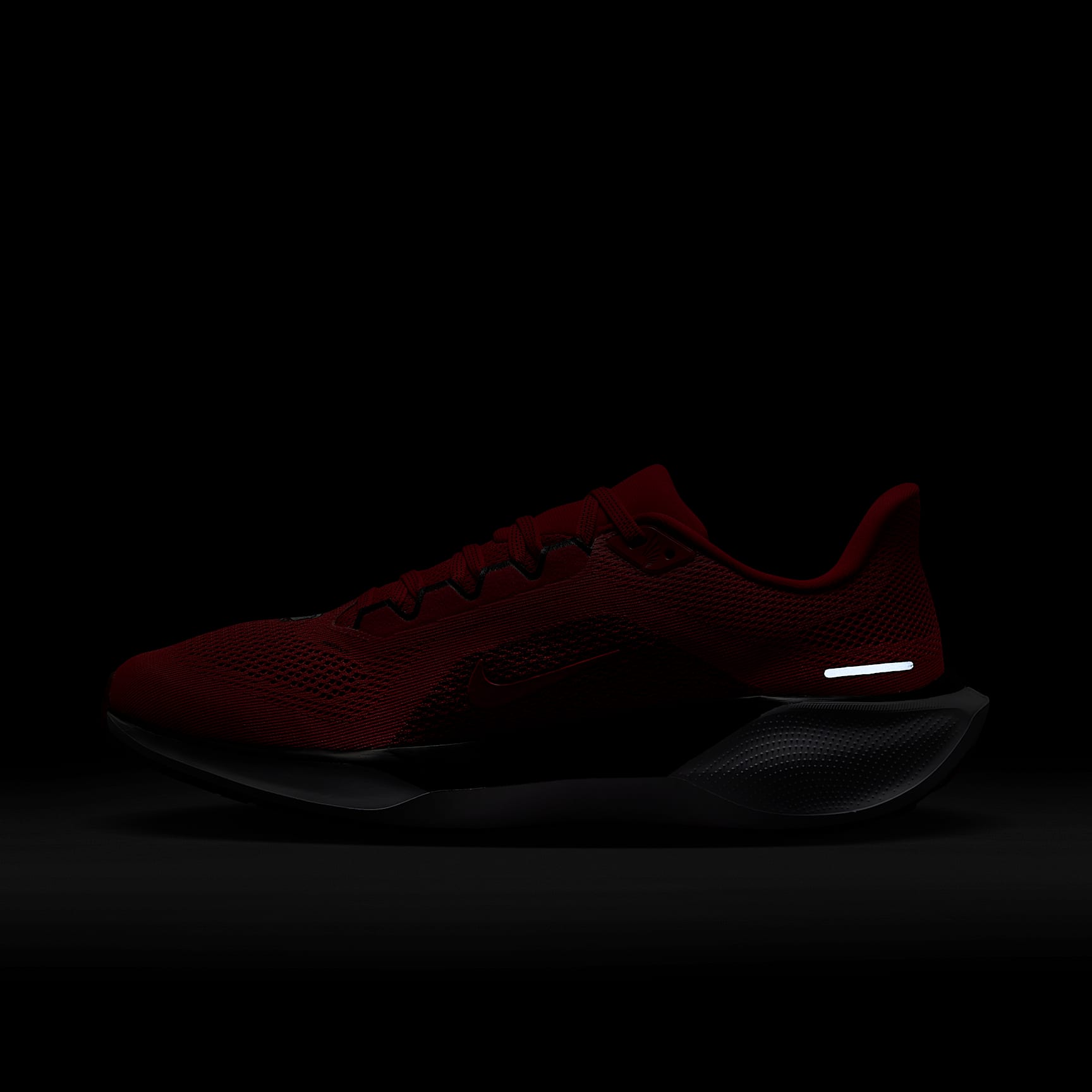 Georgia Pegasus 41 Men's Nike College Road Running Shoes