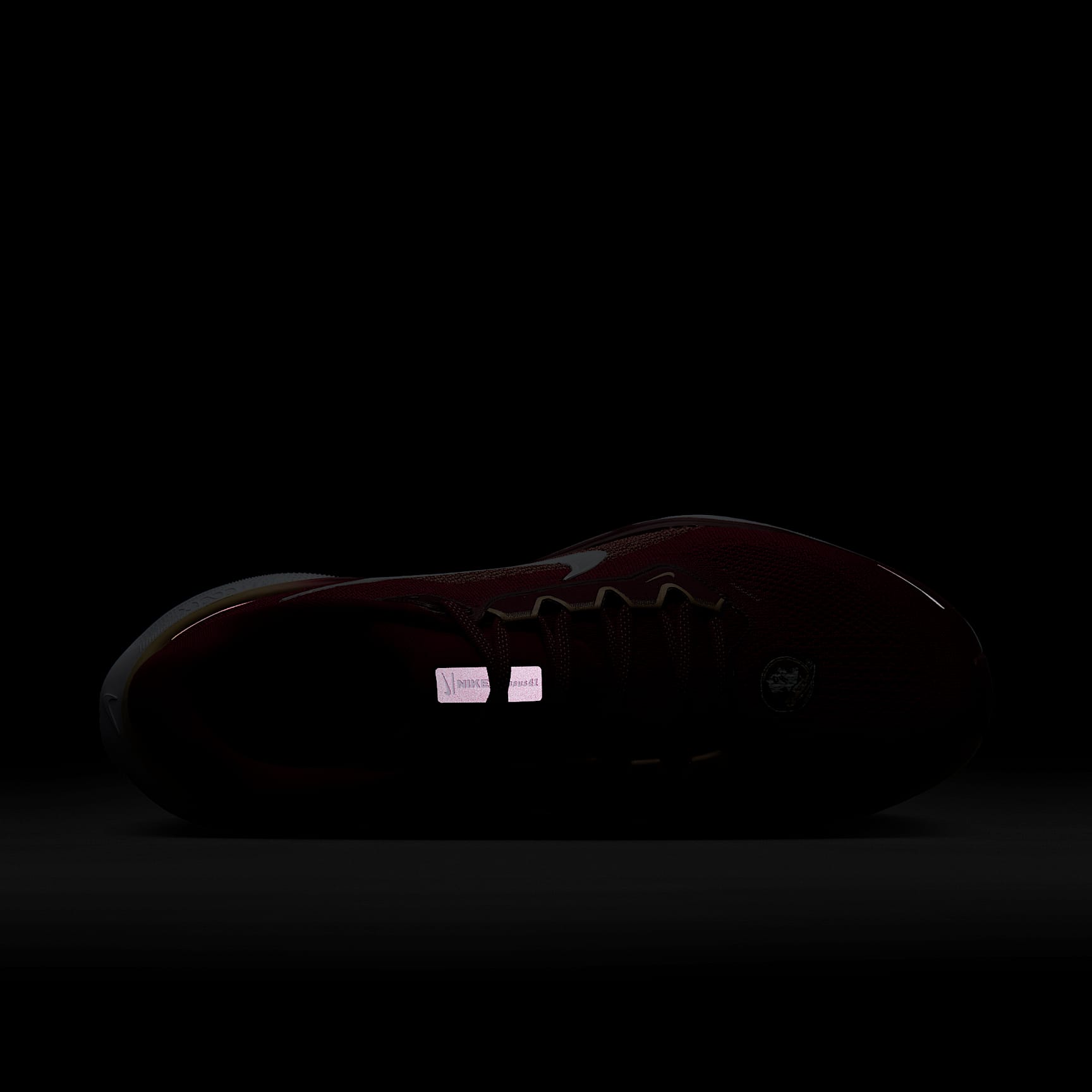 Florida State Pegasus 41 Men's Nike College Road Running Shoes