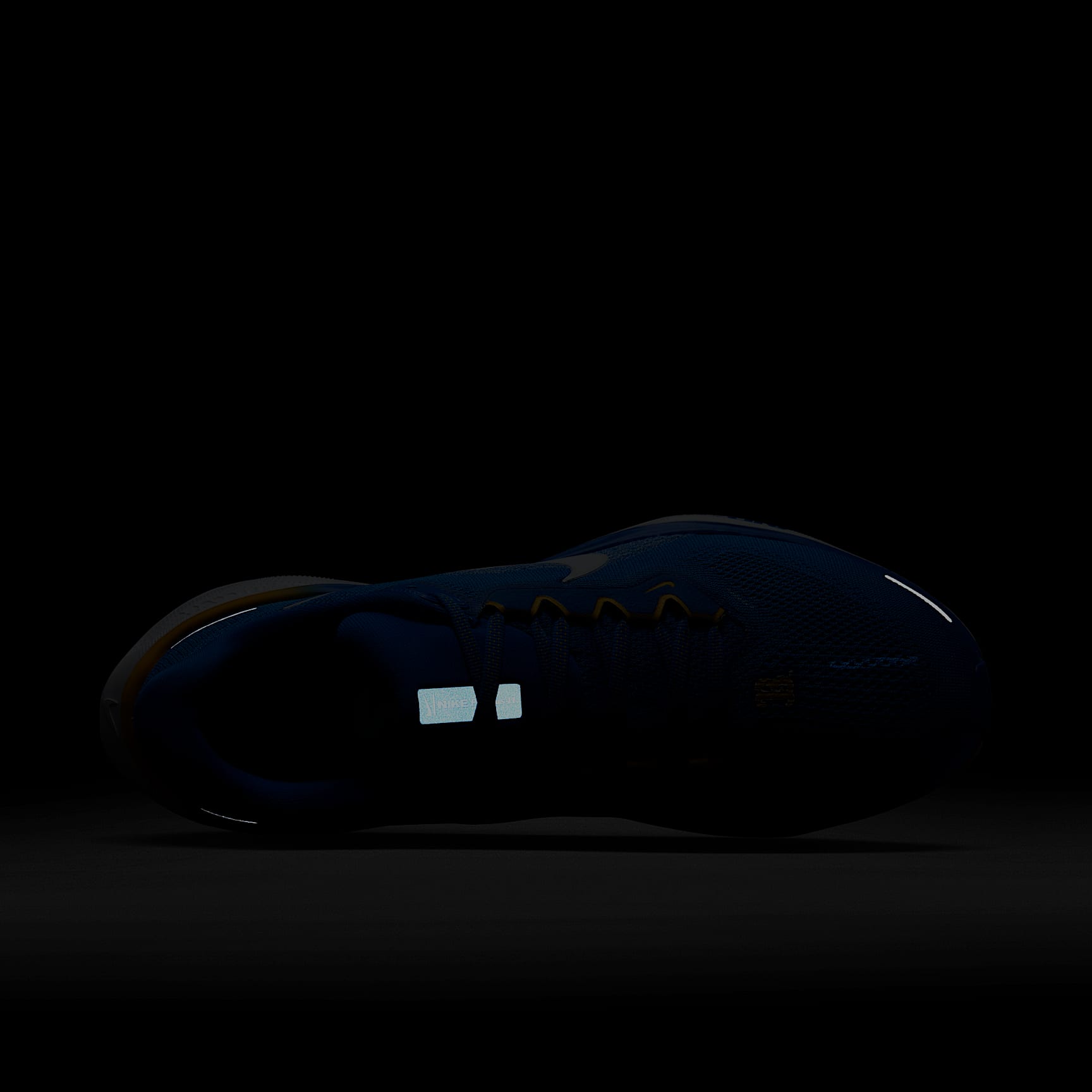 UCLA Pegasus 41 Men's Nike College Road Running Shoes