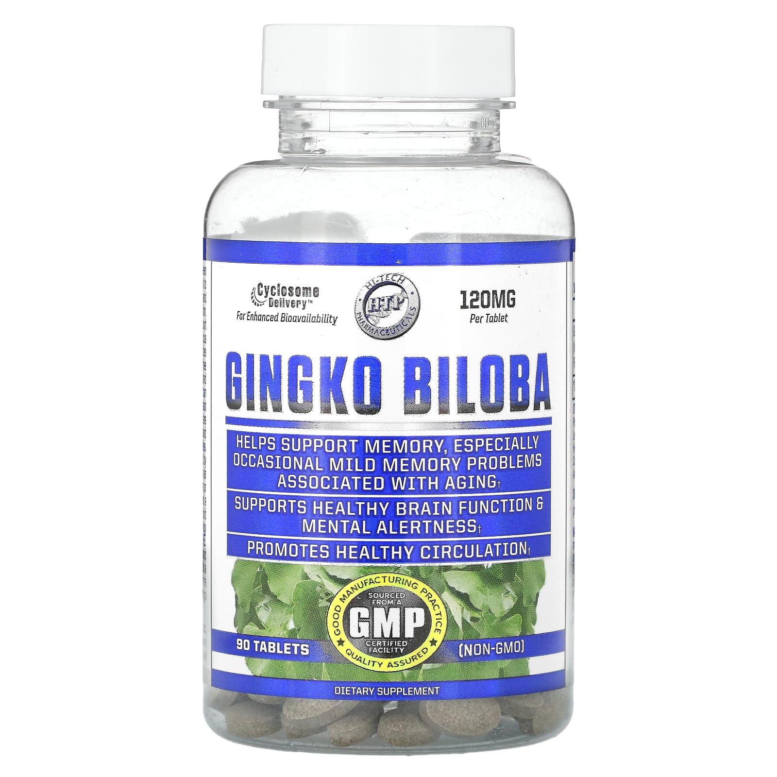 Hi Tech Pharmaceuticals, гинкго билоба, 120 мг, 90 таблеток