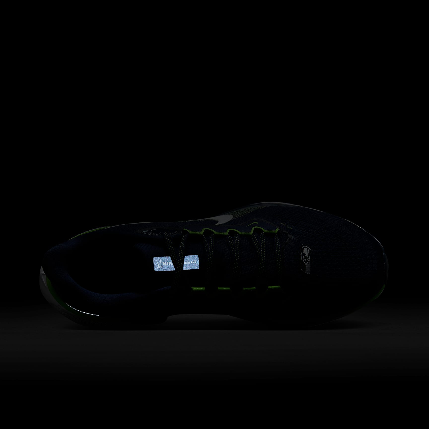 Nike Pegasus 41 NFL Seattle Seahawks Men's Road Running Shoes