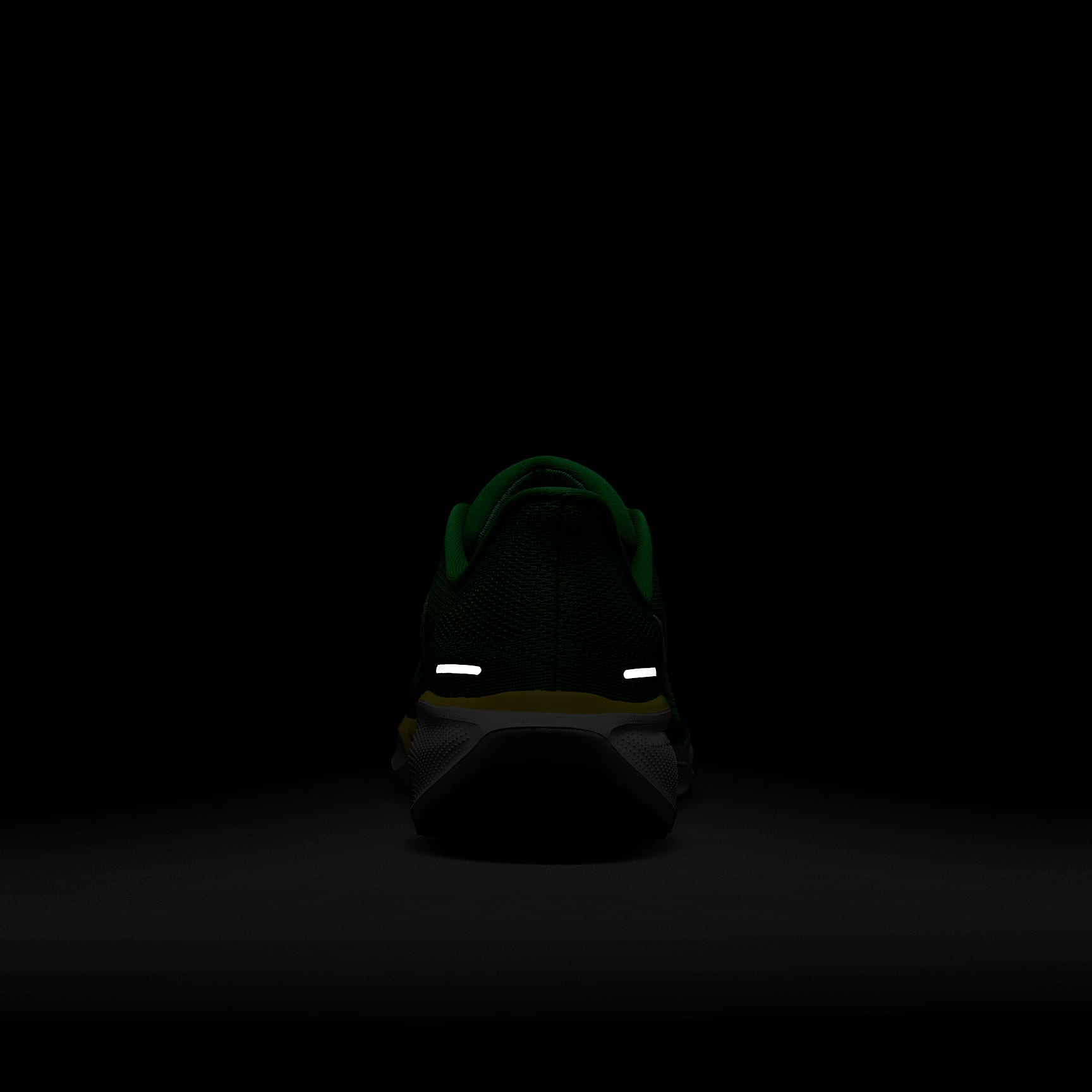 Oregon Pegasus 41 Men's Nike College Road Running Shoes