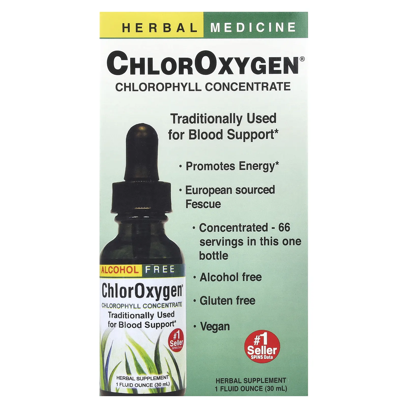Herbs Etc., ChlorOxygen, концентрат хлорофилла, без спирта, 30 мл (1 жидк. унция)
