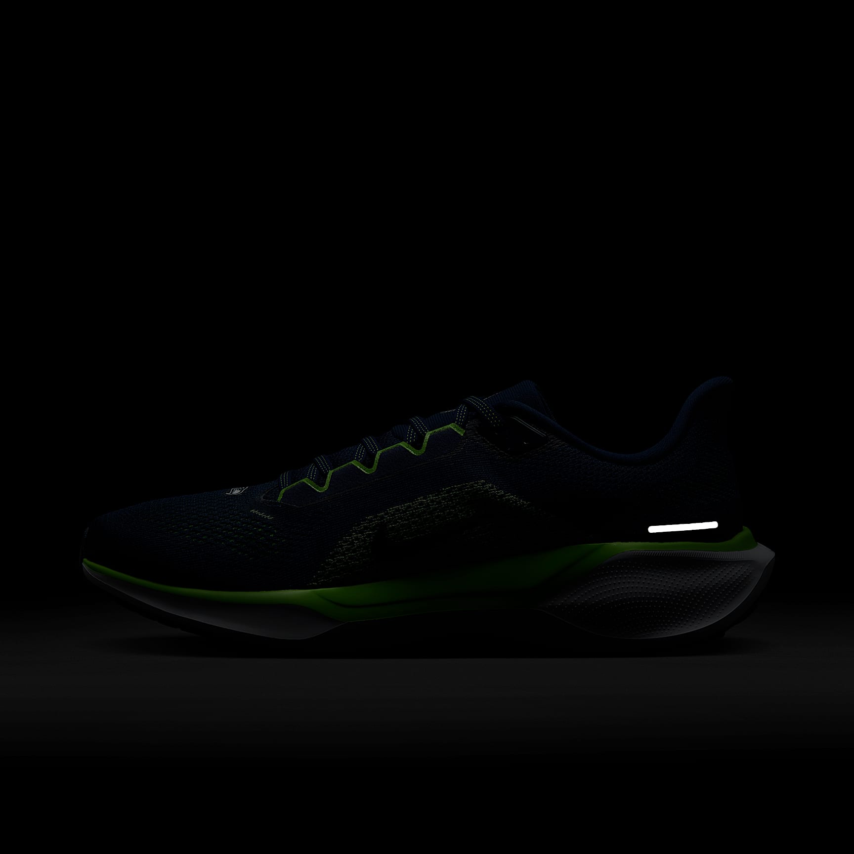 Nike Pegasus 41 NFL Seattle Seahawks Men's Road Running Shoes