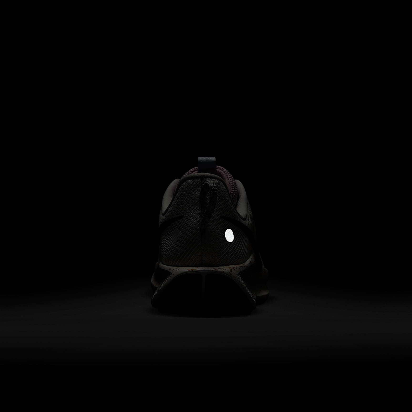 Nike Pegasus Trail 5 Women's Trail Running Shoes