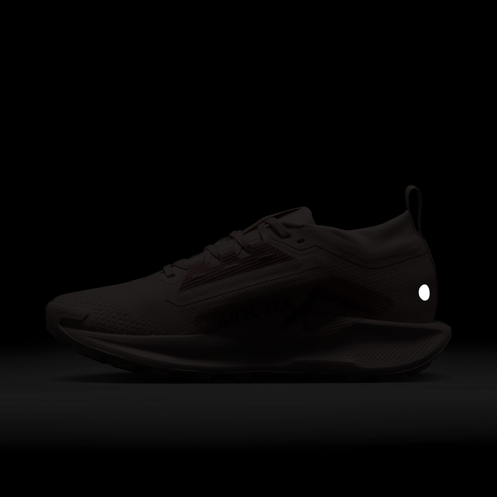 Nike Pegasus Trail 5 GORE-TEX Women's Waterproof Trail Running Shoes