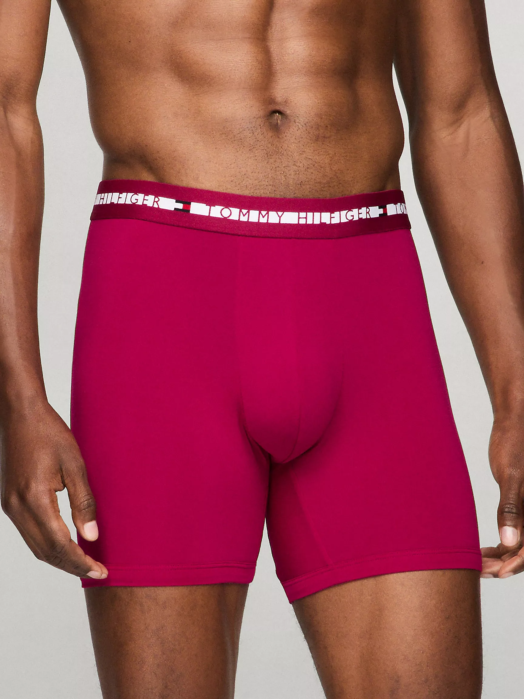 Мужское нижнее белье Tommy Hilfiger, Боксеры-брифы TH Comfort+ (набор 3 шт.)