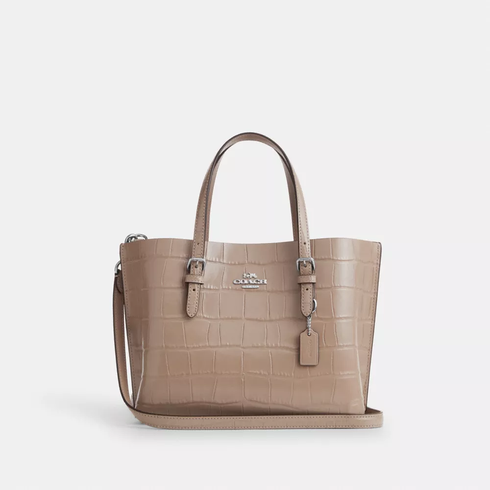 Сумка COACH Mollie Tote Bag 25