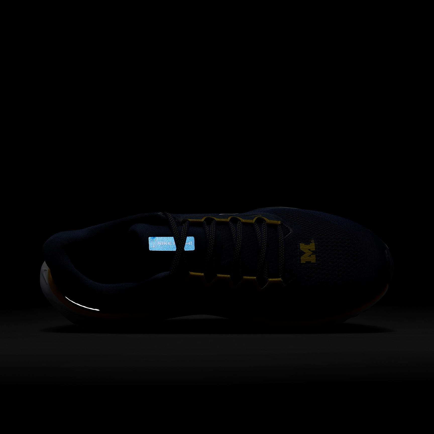 Michigan Pegasus 41 Men's Nike College Road Running Shoes