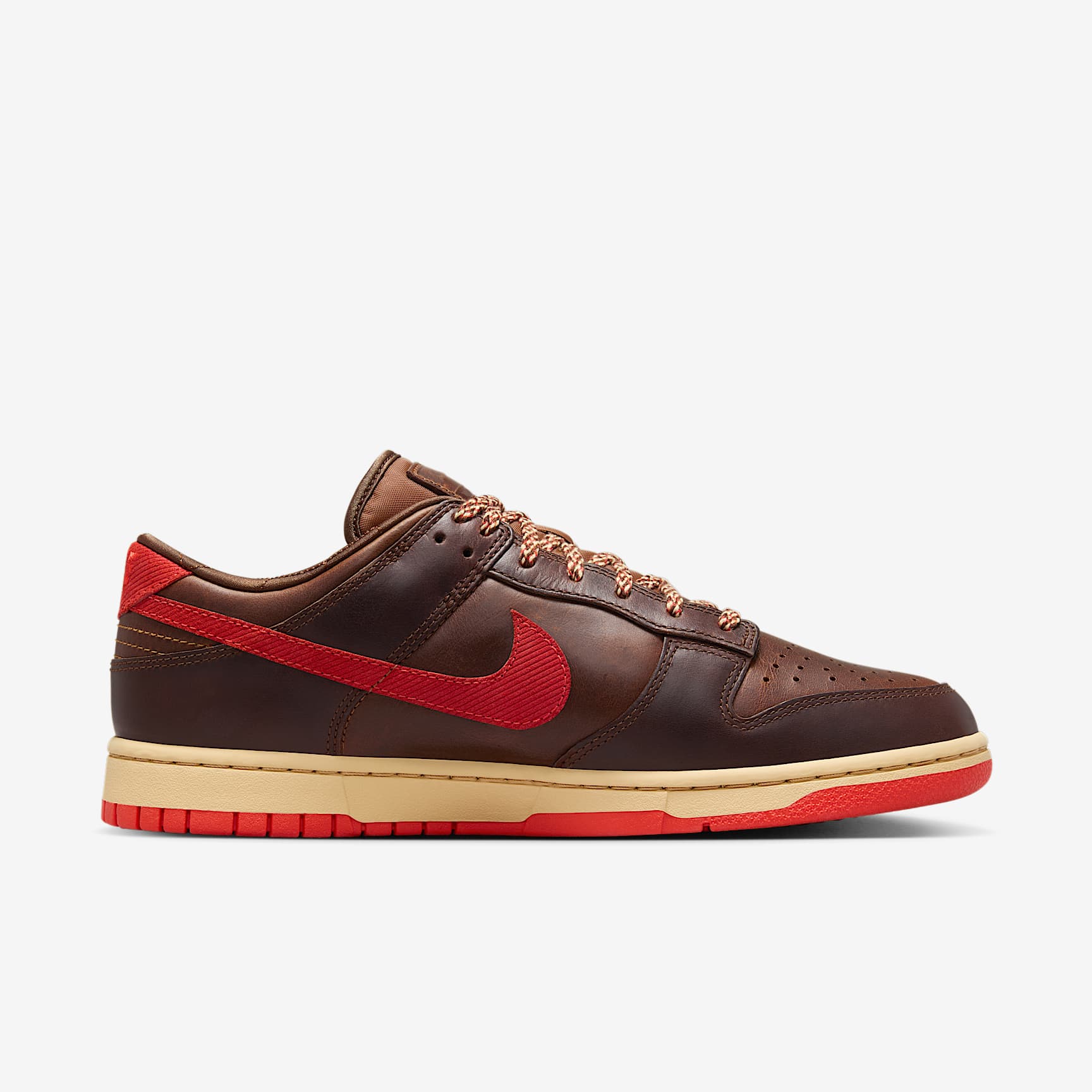 Nike Dunk Low Retro Men's Shoes