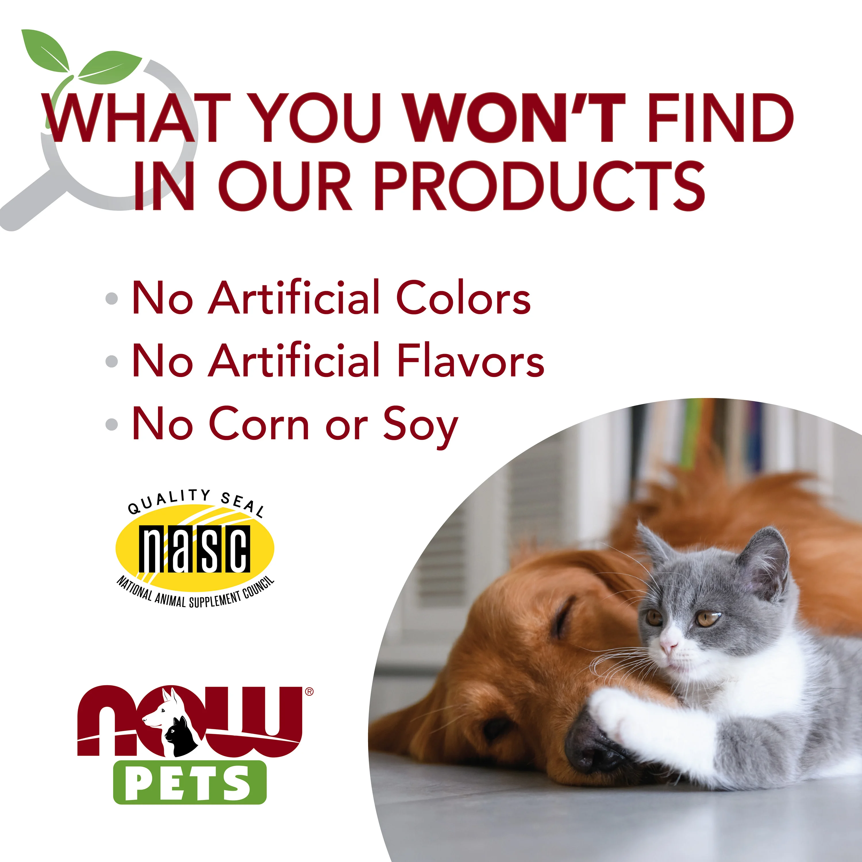 NOW Foods, Pets, омега-3 для собак и кошек, отличный рыбный вкус, 180 мягких таблеток, 252 г (8,9 унции)