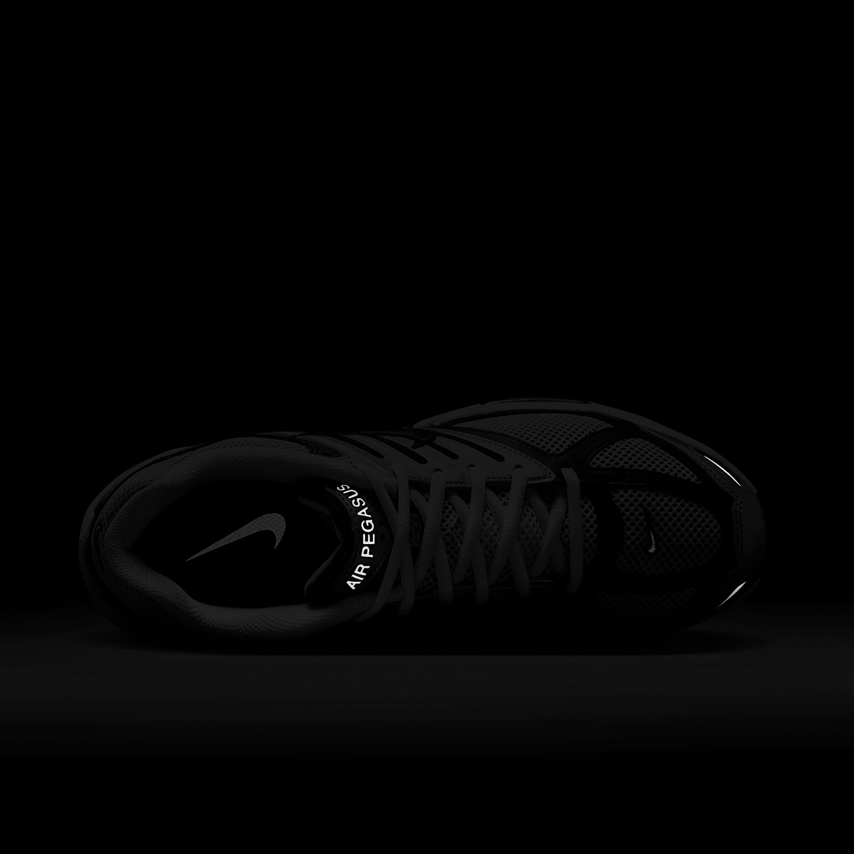 Nike Air Pegasus 2005 Men's Shoes