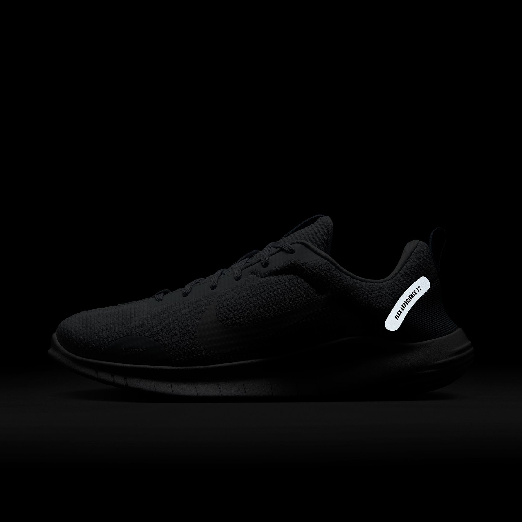 Nike Flex Experience Run 12 Women's Road Running Shoes