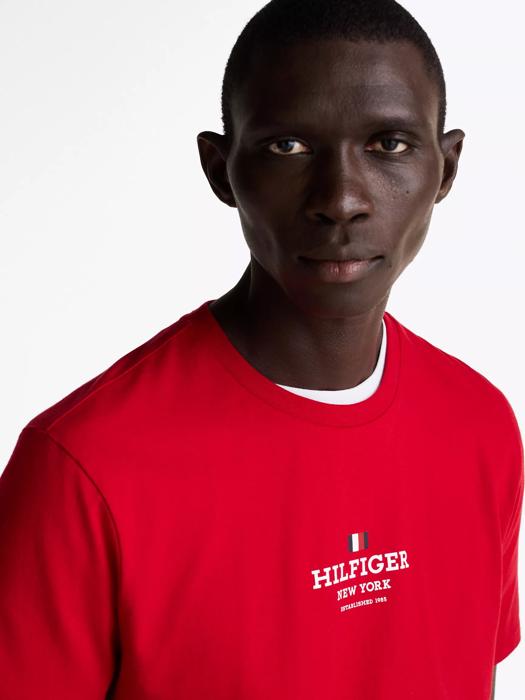 Мужская футболка Tommy Hilfiger, Футболка с логотипом Hilfiger New York