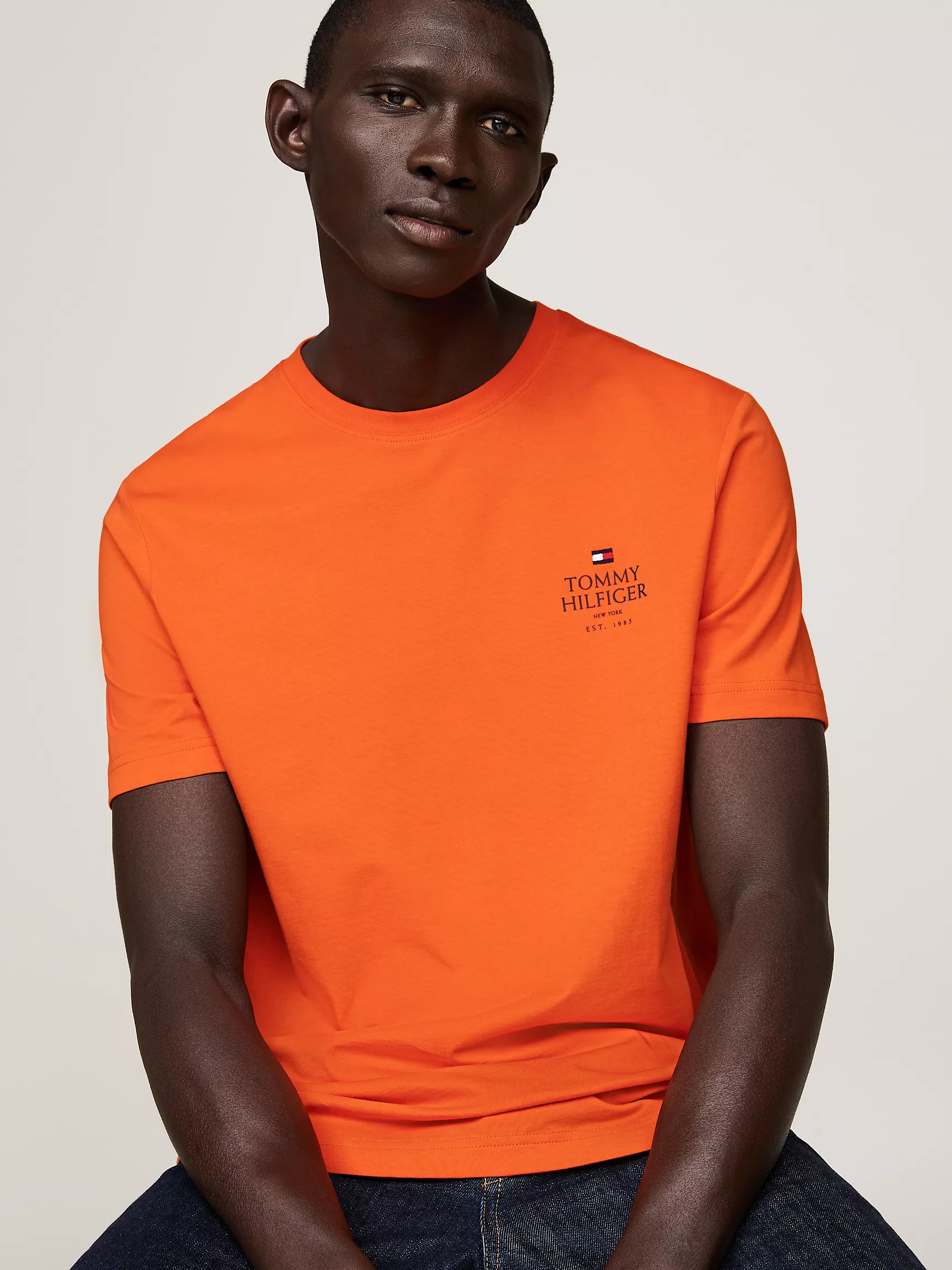 Мужская футболка Tommy Hilfiger, Футболка с логотипом Tommy