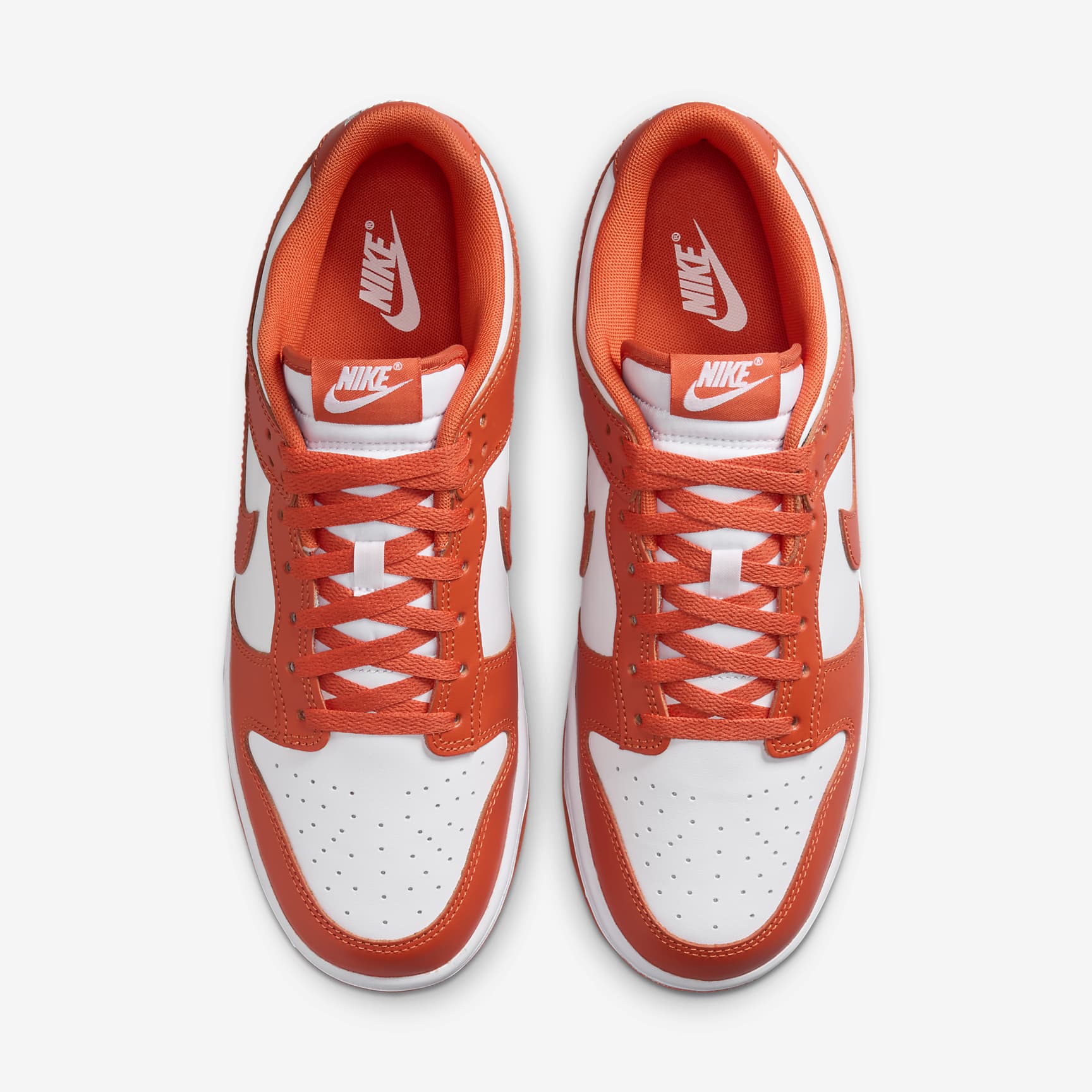 Nike Dunk Low Retro Men's Shoes