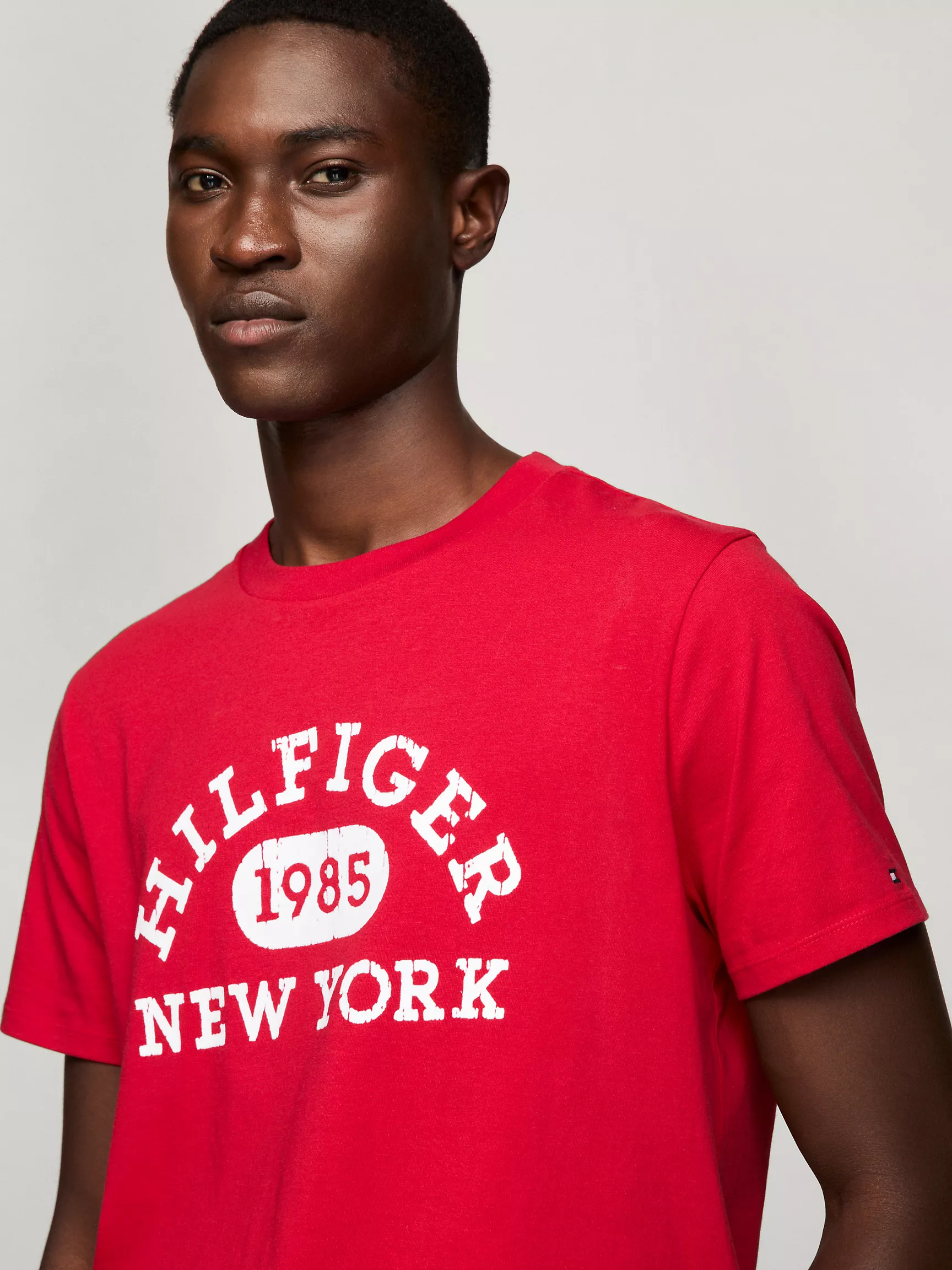 Мужская футболка Tommy Hilfiger, Футболка с университетским монограммным логотипом