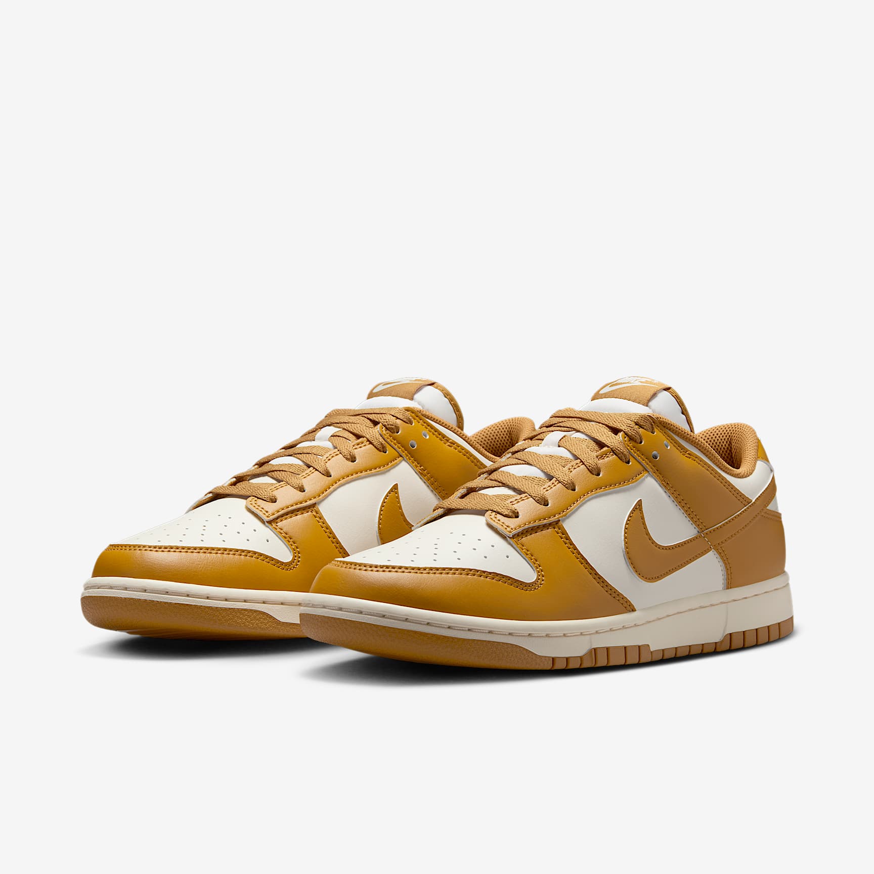Nike Dunk Low Retro Men's Shoes
