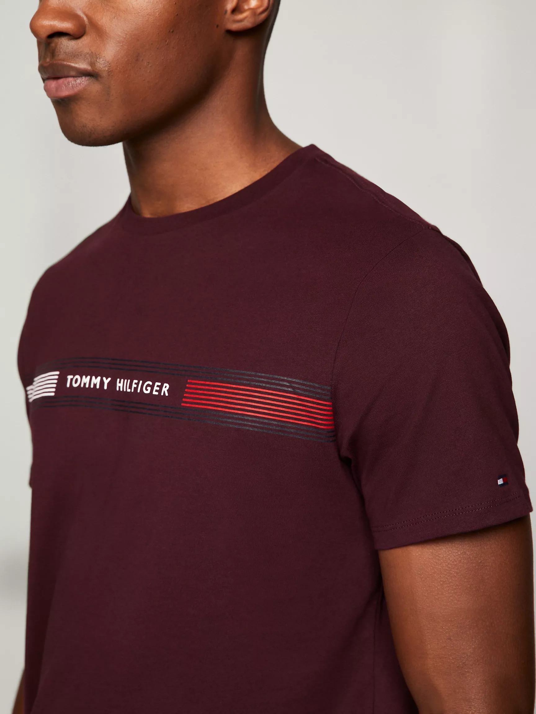 Мужская футболка Tommy Hilfiger, Футболка с графическим принтом полос Tommy