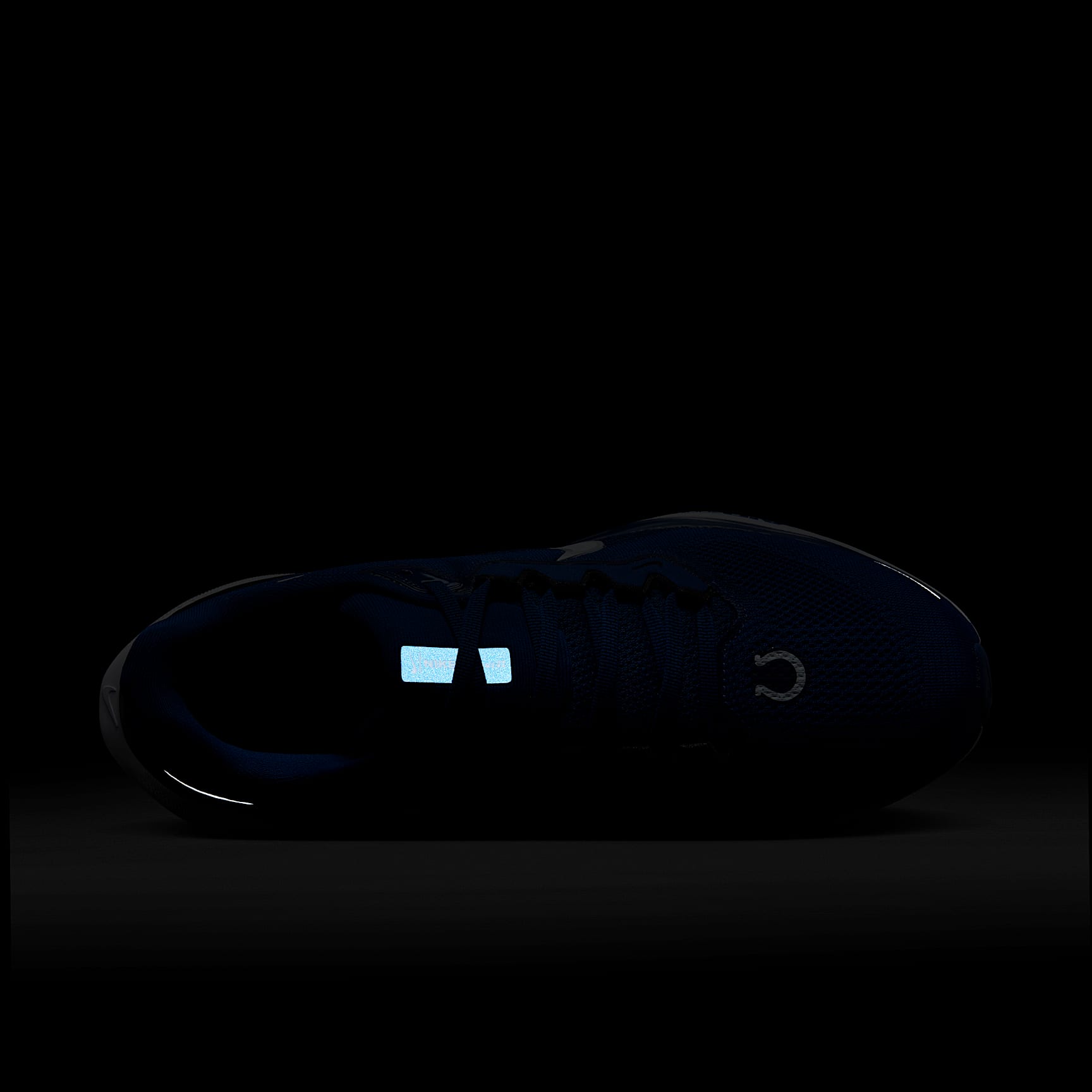 Nike Pegasus 41 NFL Indianapolis Colts Men's Road Running Shoes