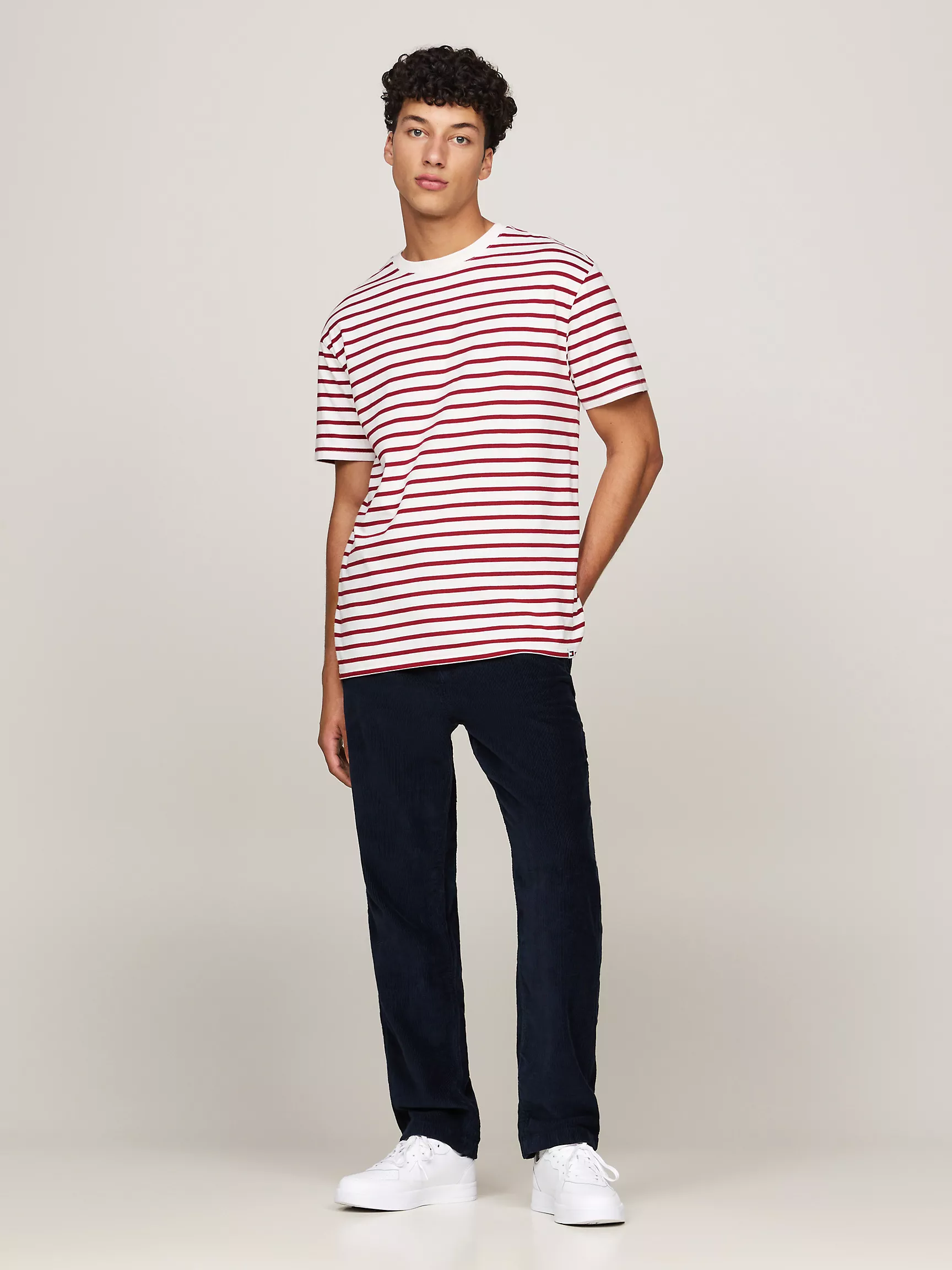 Мужская футболка Tommy Hilfiger, Морская полосатая футболка TJ