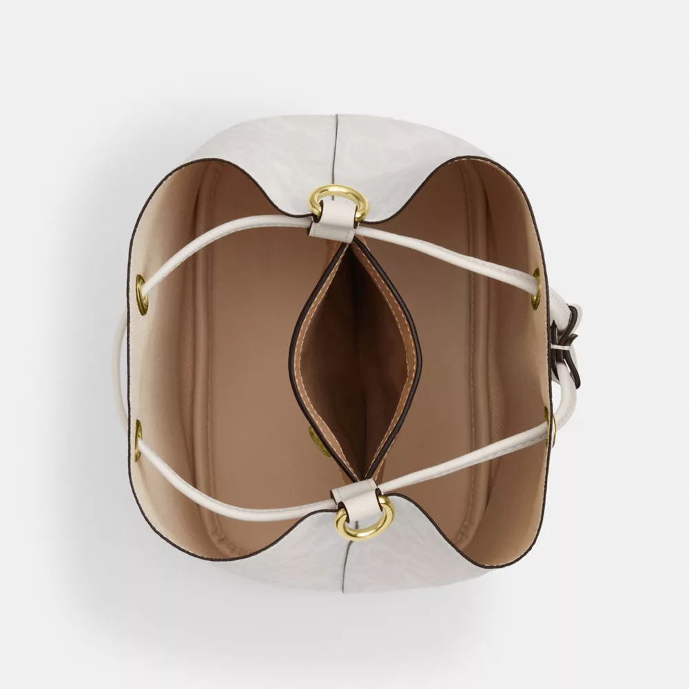 Сумка COACH Rowan Bucket Bag In Signature Canvas
