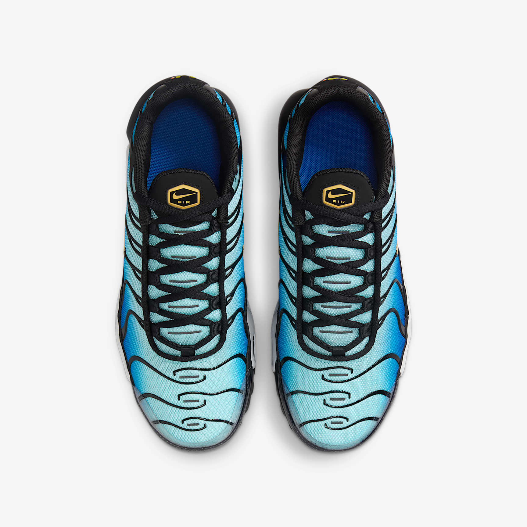 Nike Air Max Plus Big Kids' Shoes