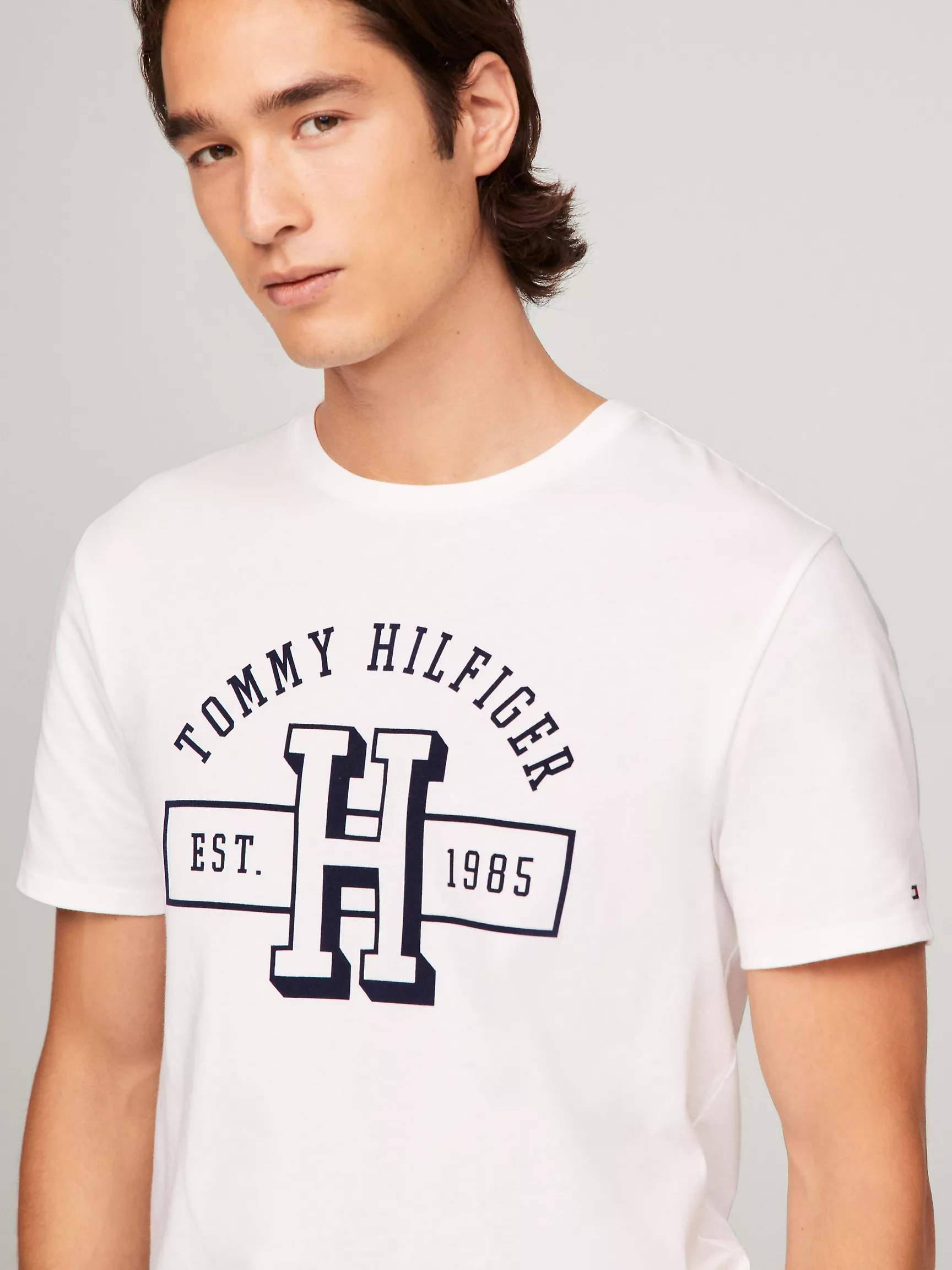 Мужская футболка Tommy Hilfiger, Футболка с логотипом Hilfiger Established