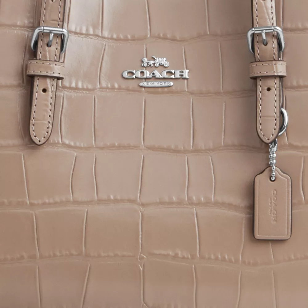 Сумка COACH Mollie Tote Bag 25