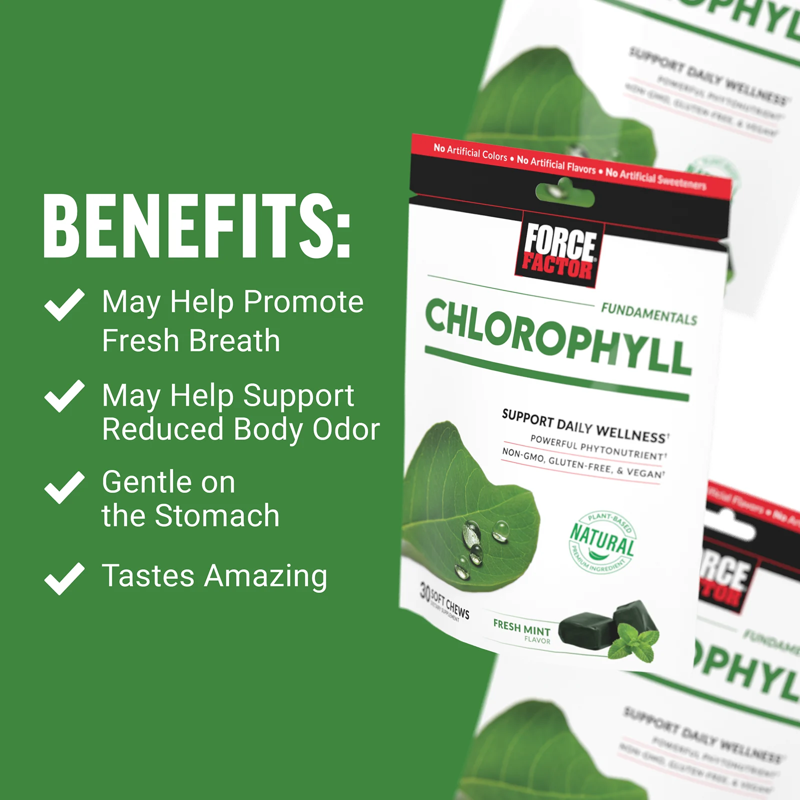 Force Factor, Fundamentals, хлорофилл, свежая мята, 30 жевательных таблеток