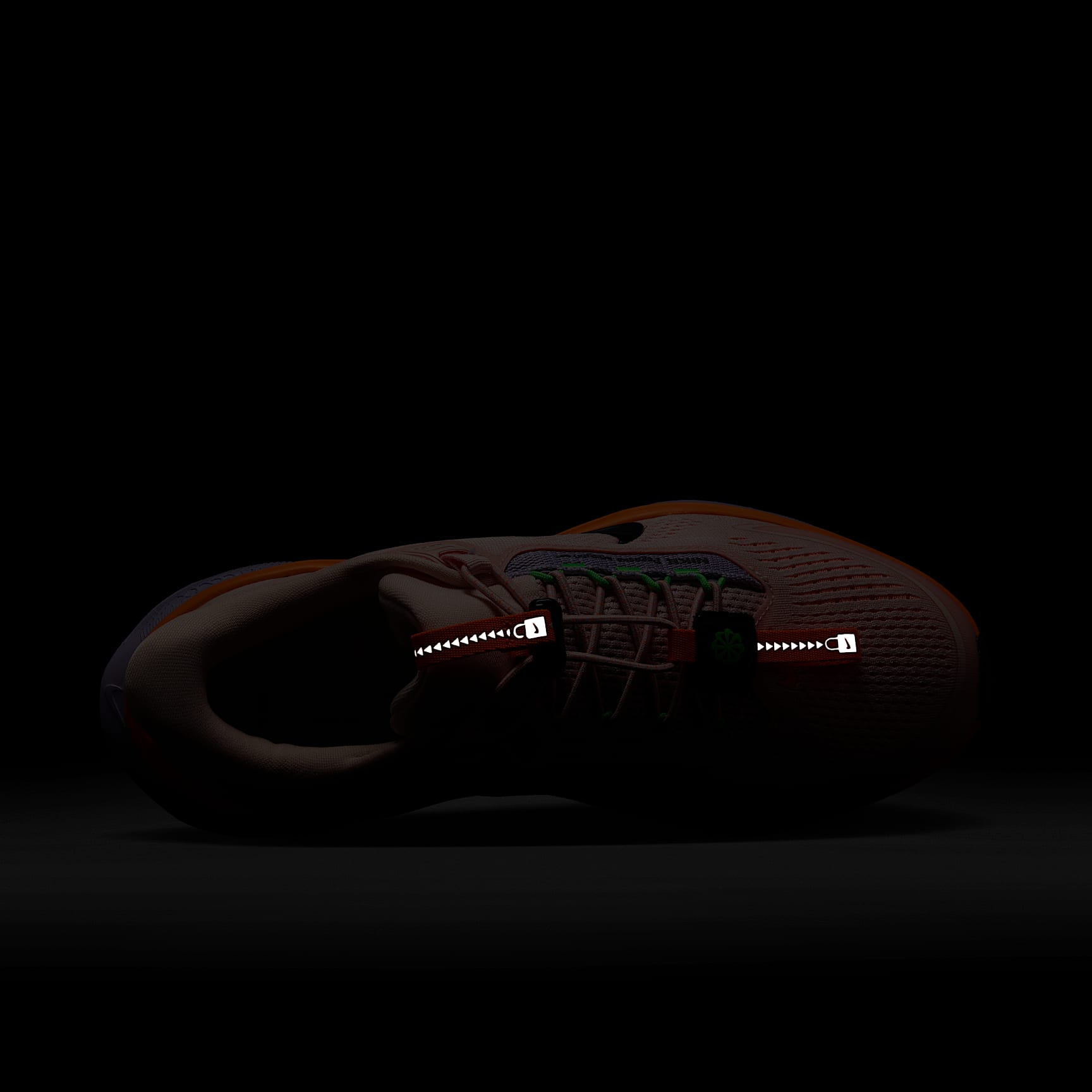 Nike Pegasus EasyOn Women's Road Running Shoes