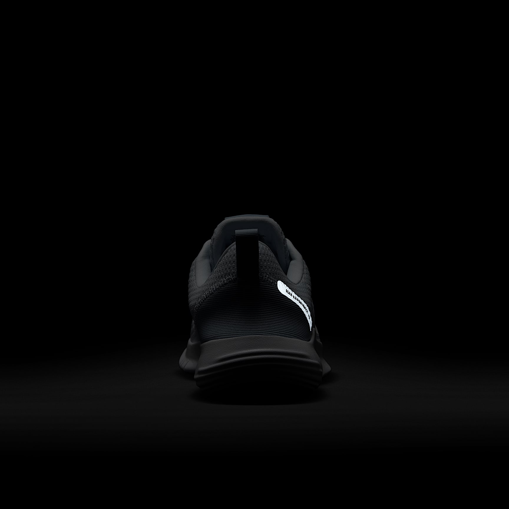 Nike Flex Experience Run 12 Women's Road Running Shoes