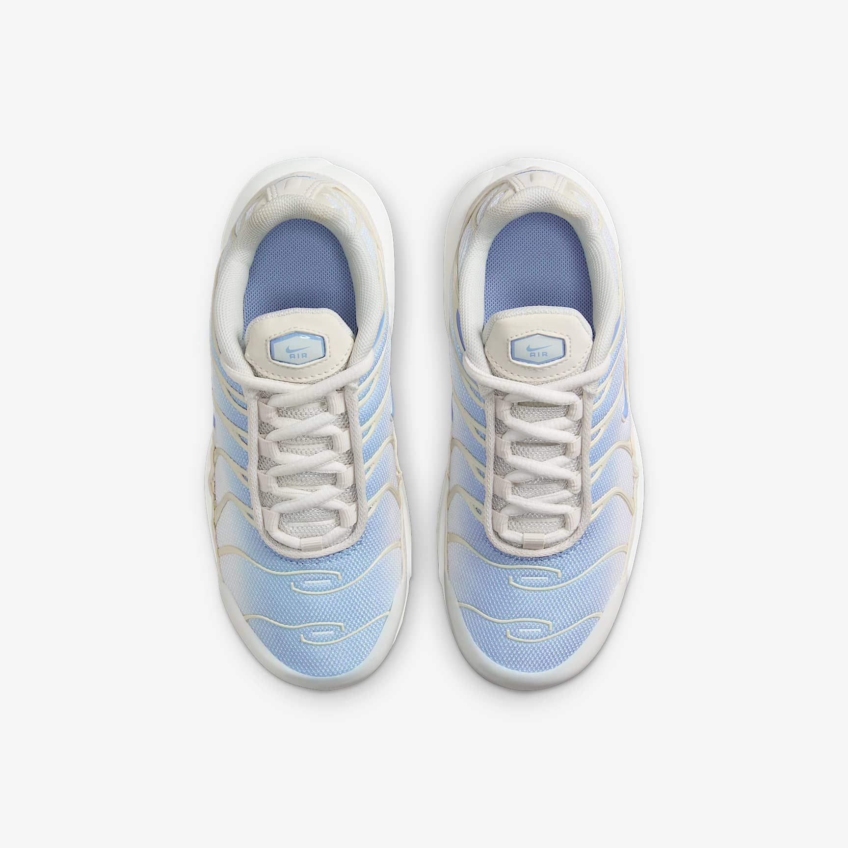 Nike Air Max Plus Little Kids' Shoes