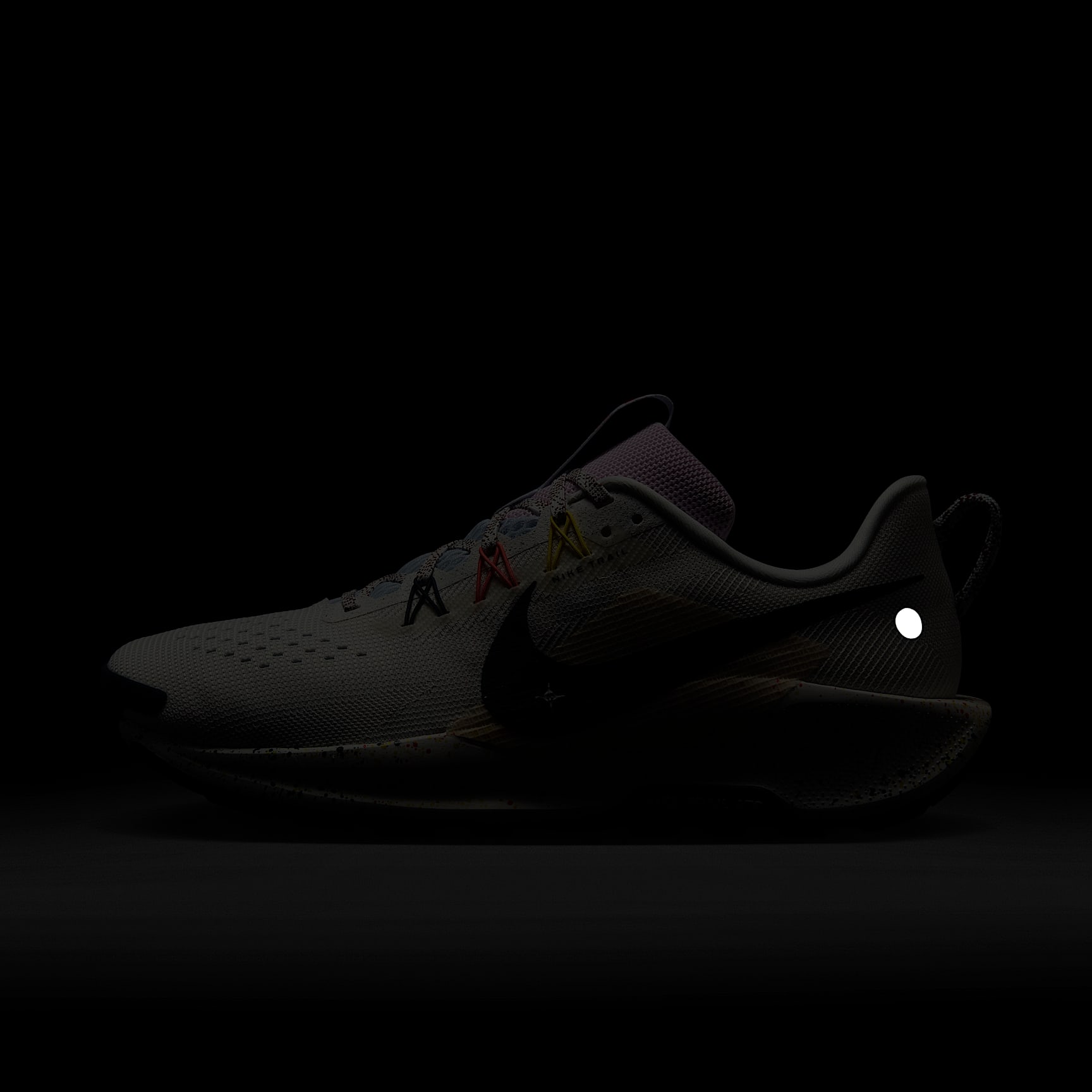 Nike Pegasus Trail 5 Men's Trail Running Shoes