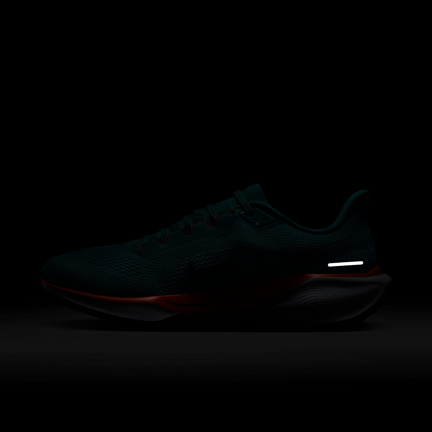 Nike Pegasus 41 NFL Miami Dolphins Men's Road Running Shoes