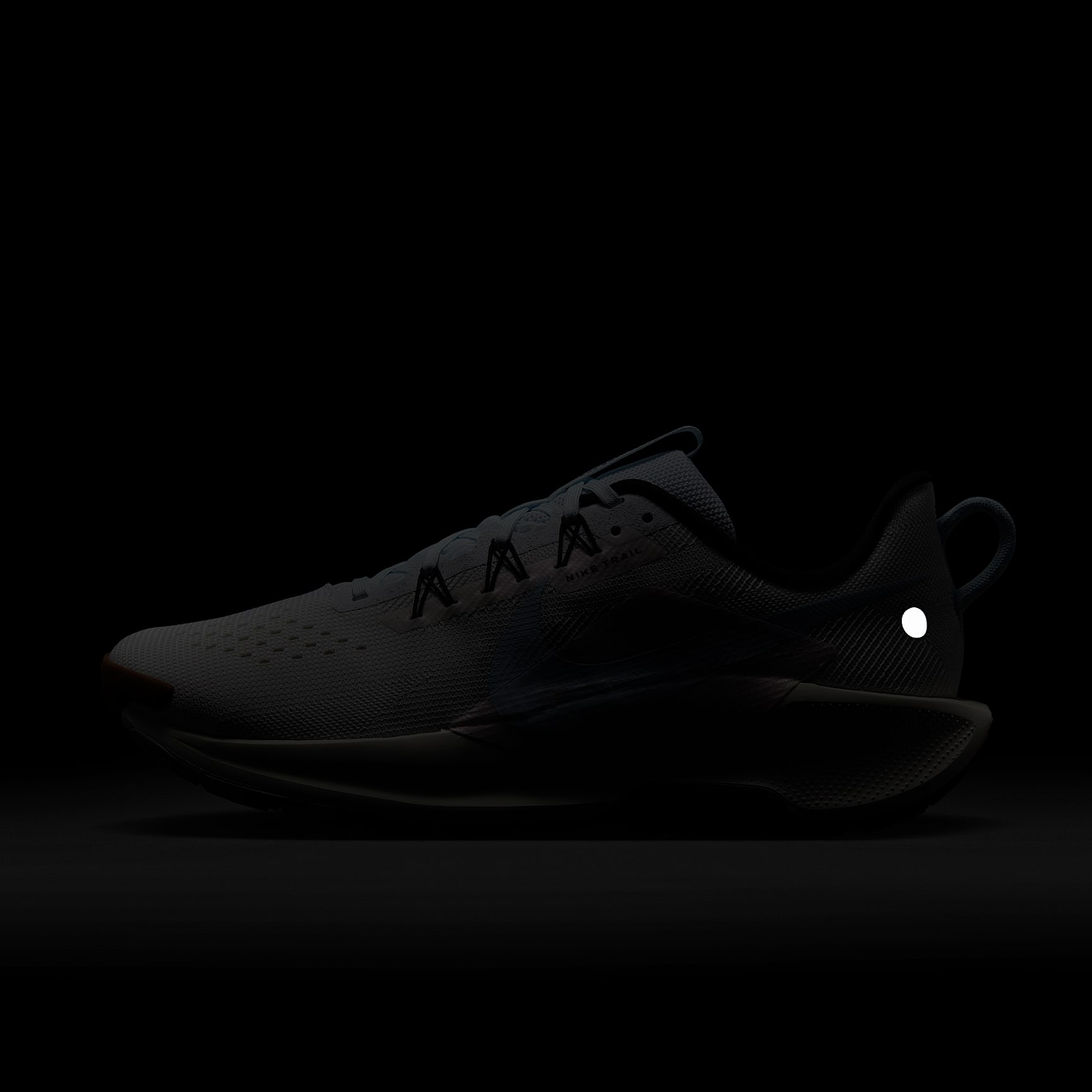 Nike Pegasus Trail 5 Men's Trail Running Shoes