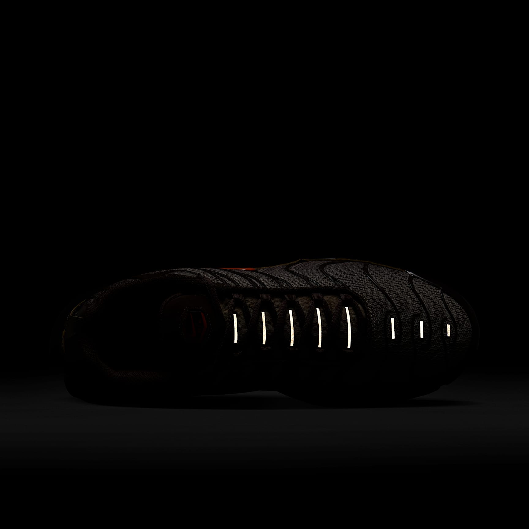 Nike Air Max Plus Men's Shoes