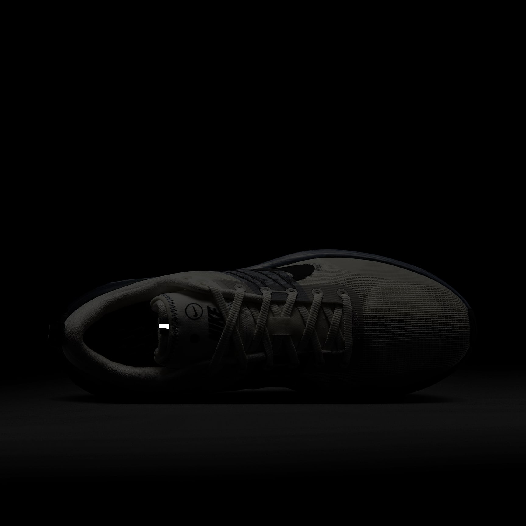 Nike Lunar Roam Men's Shoes